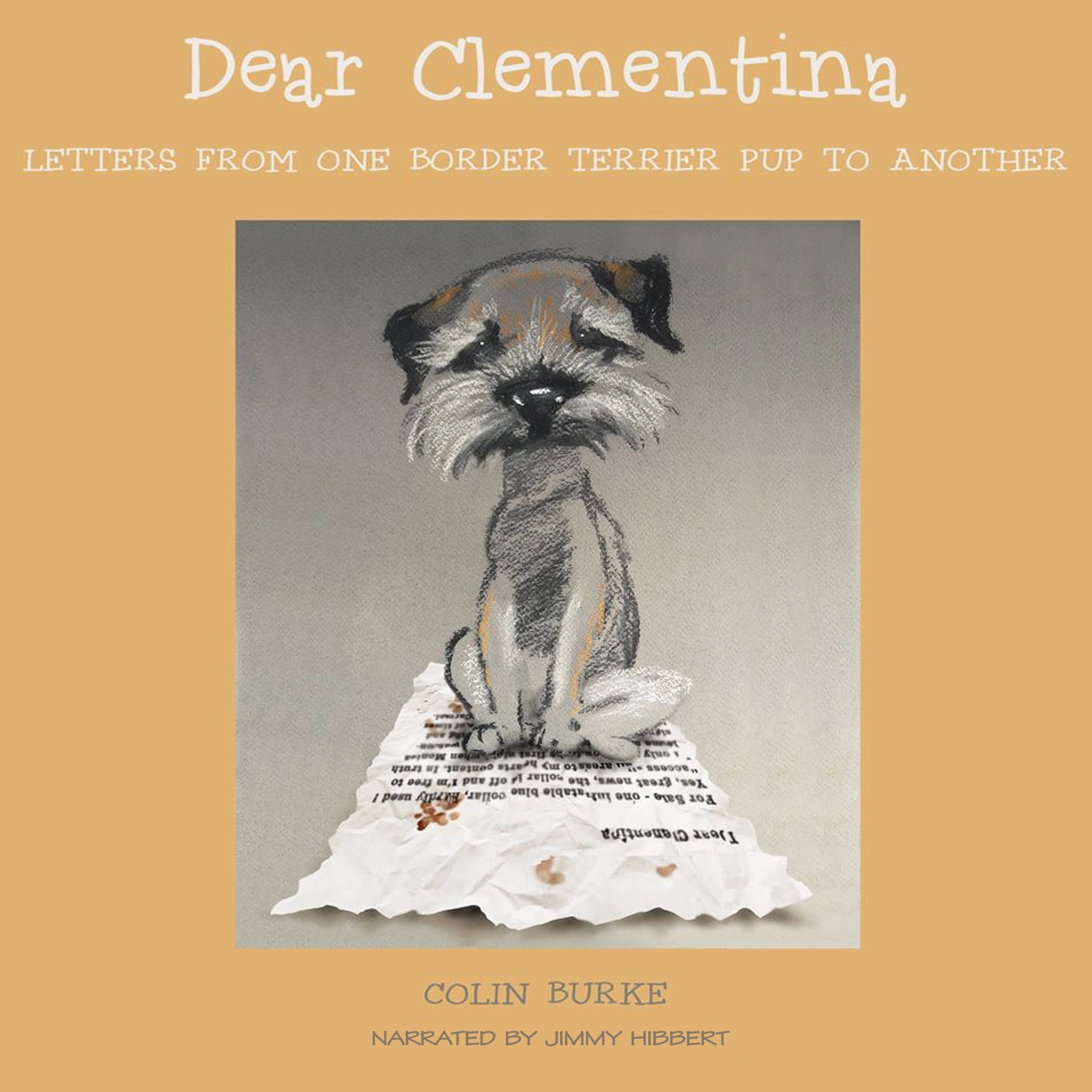 Dear Clementina Audiobook by Colin Burke