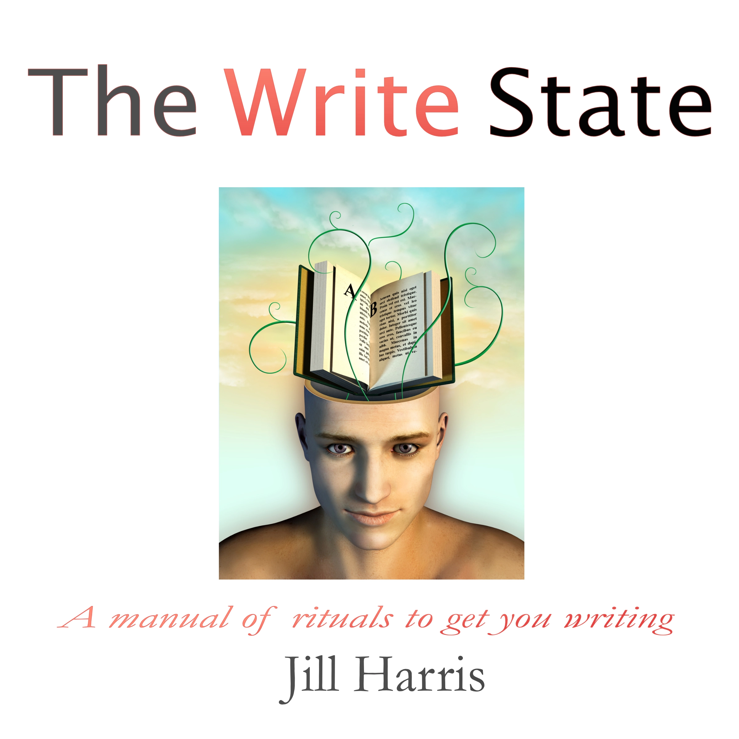 The Write State Audiobook by Jill Harris