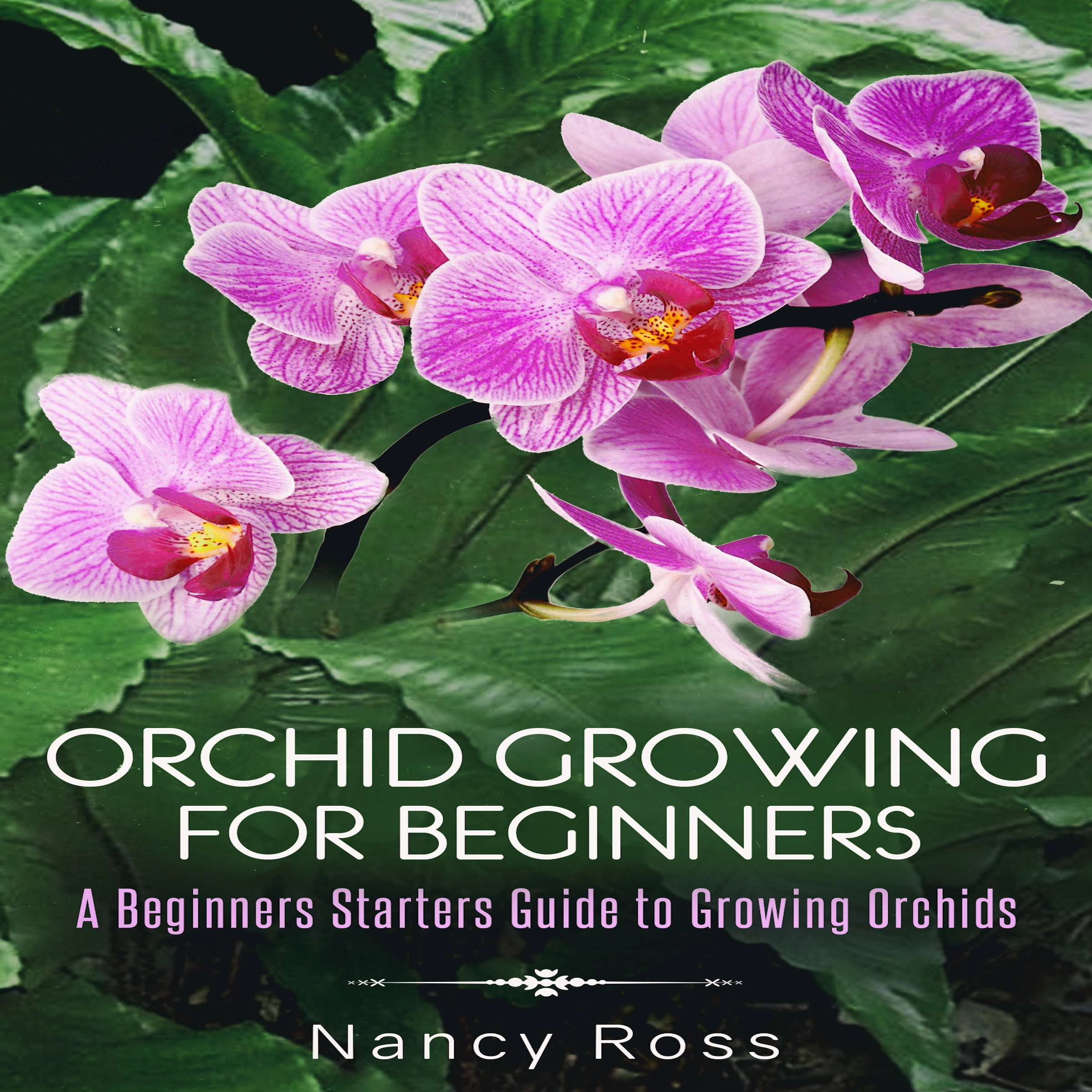 Orchid Growing for Beginners: A Beginners Starters Guide to Growing Orchids by Nancy Ross Audiobook