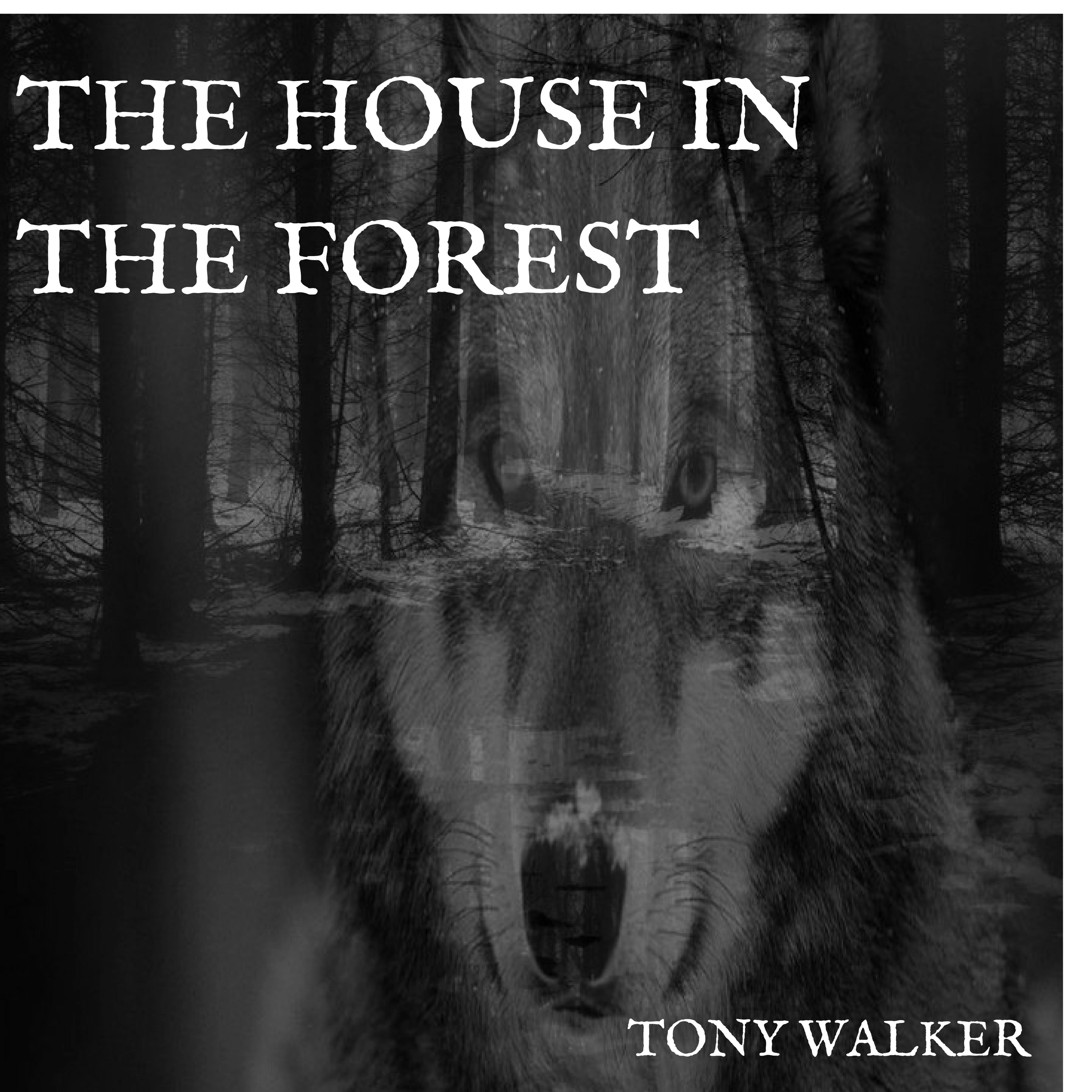 The House in the Forest by Tony Walker Audiobook