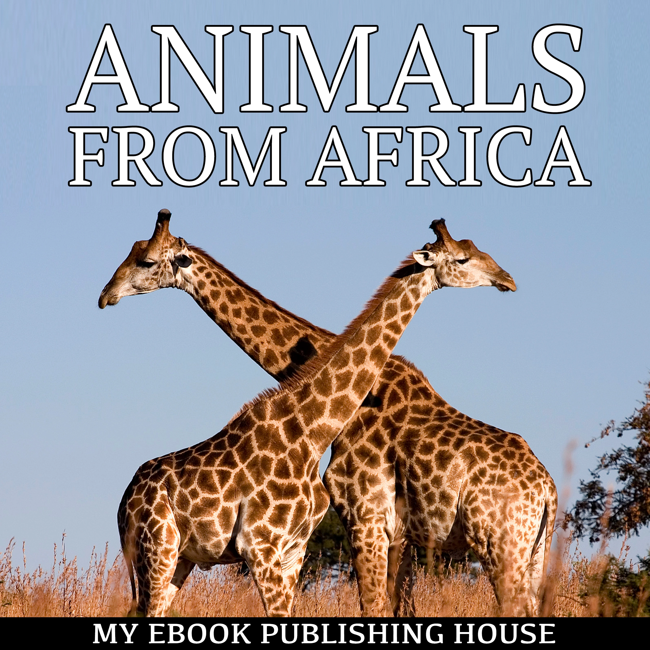 Animals from Africa Audiobook by My Ebook Publishing House