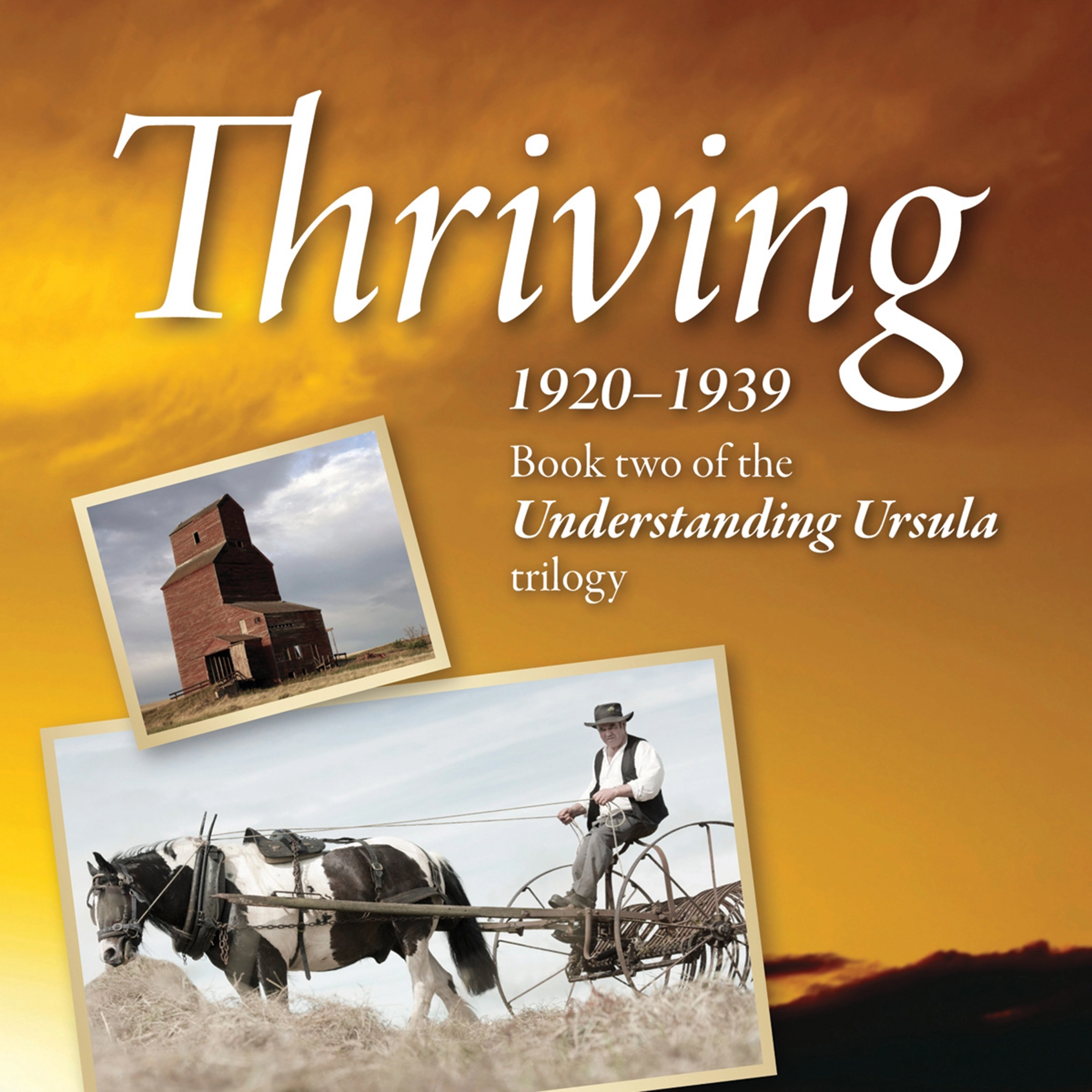 Thriving: 1920-1939 Audiobook by Corinne Jeffery