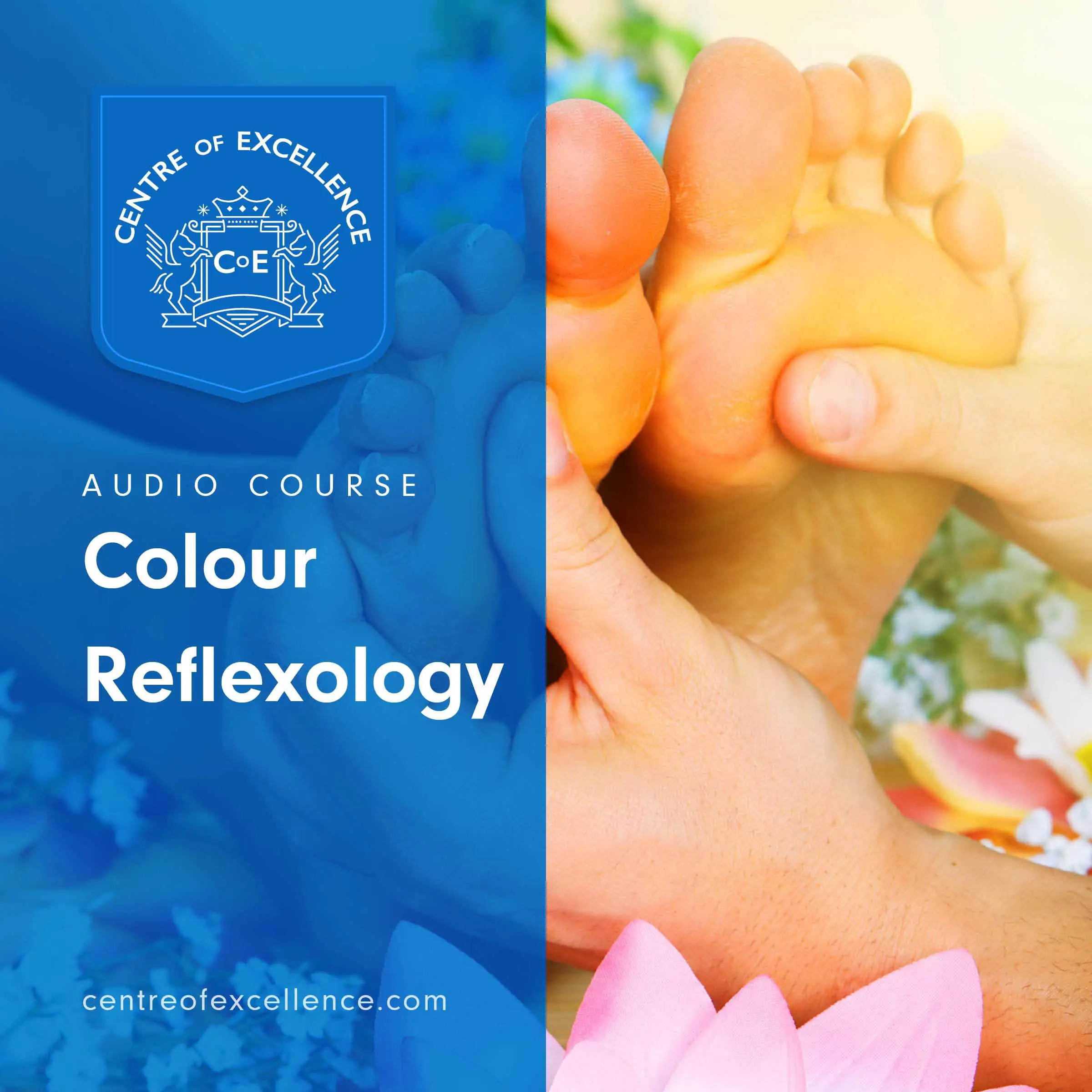 Colour Reflexology Audiobook by Centre of Excellence