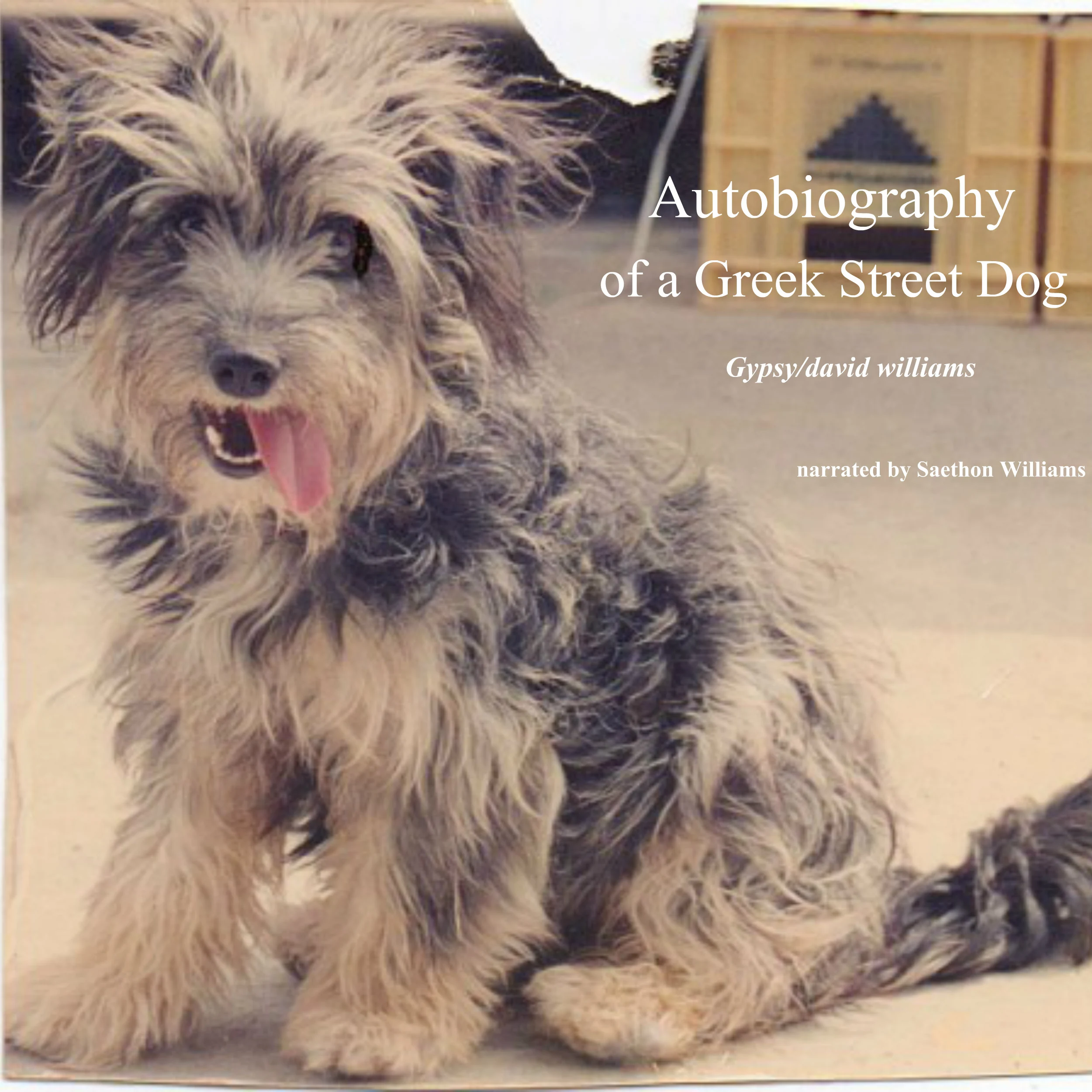 Autobiography of a Greek Street Dog by David Williams