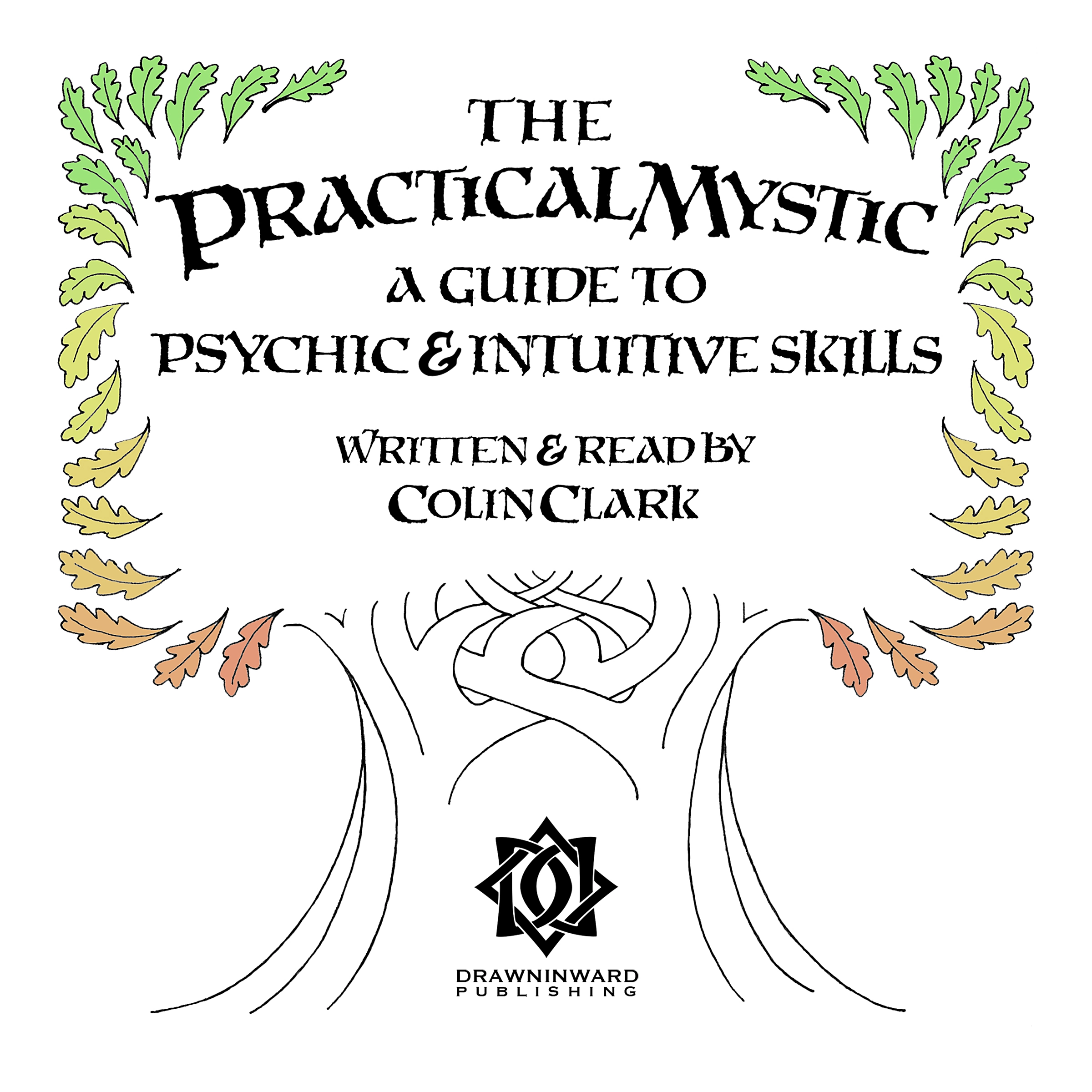 The Practical Mystic - A Guide to Psychic & Intuitive Skills by Colin CT Clark Audiobook