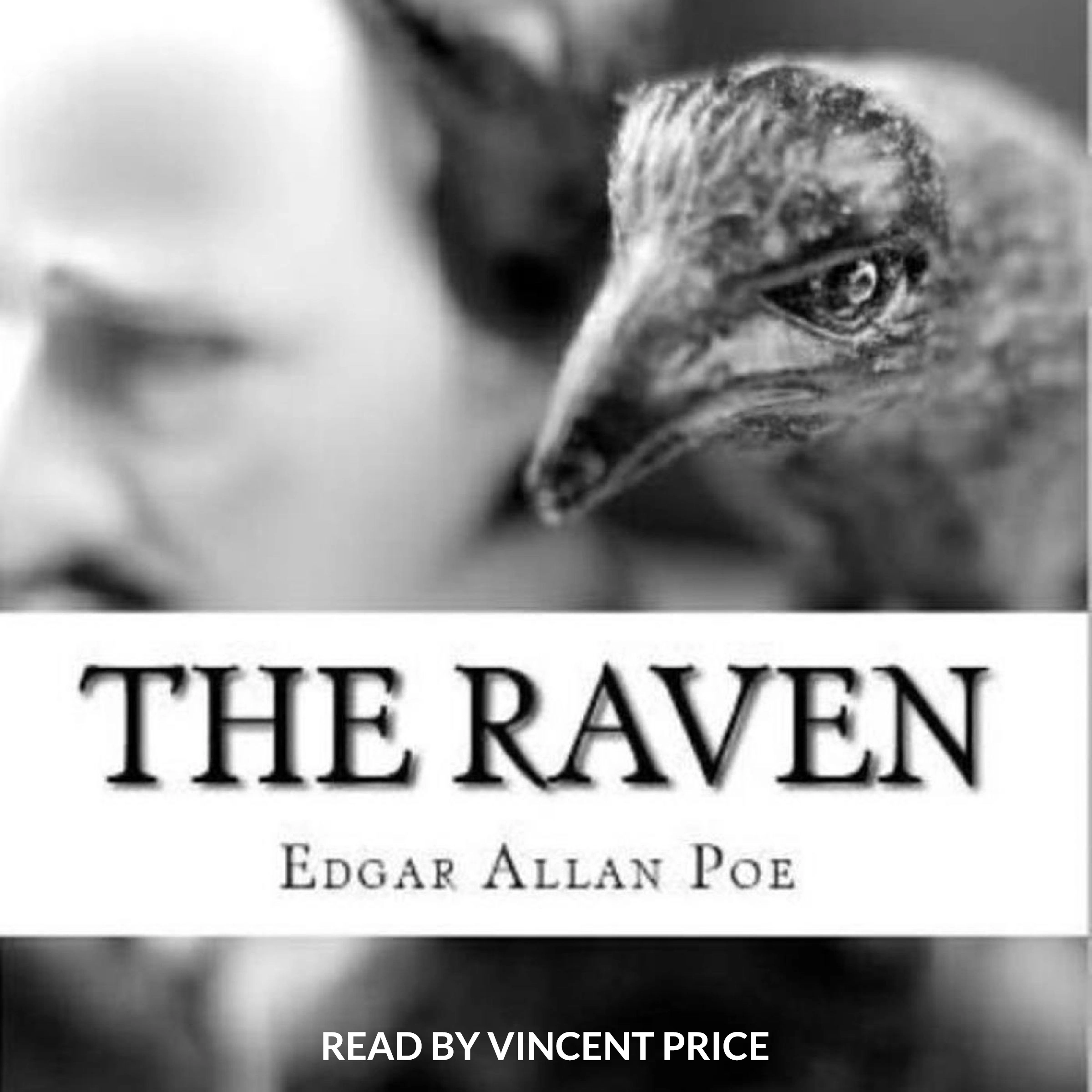 The Raven Audiobook by Edgar Allen Poe