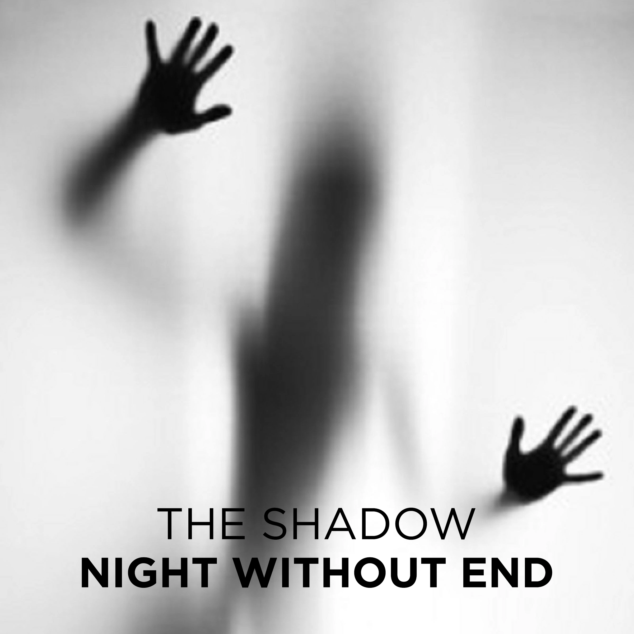 Night Without End Audiobook by The Shadow