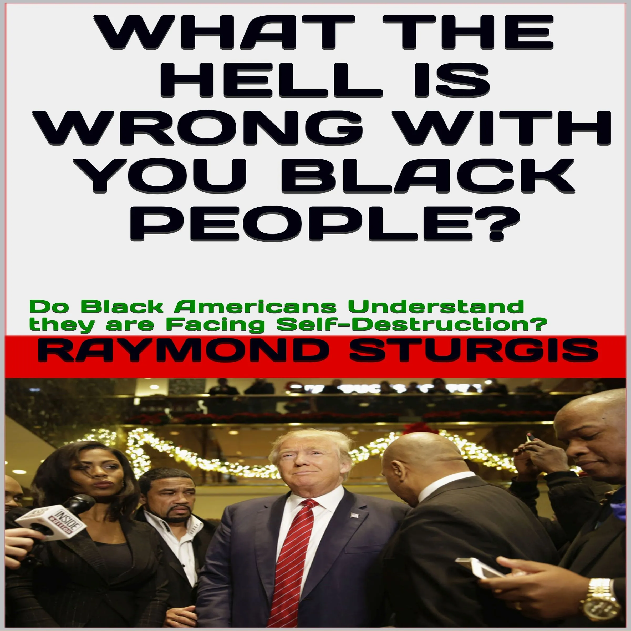 What the Hell Is Wrong with You Black People?: Do Black Americans Understand they are Facing Self-Destruction? by Raymond Sturgis Audiobook