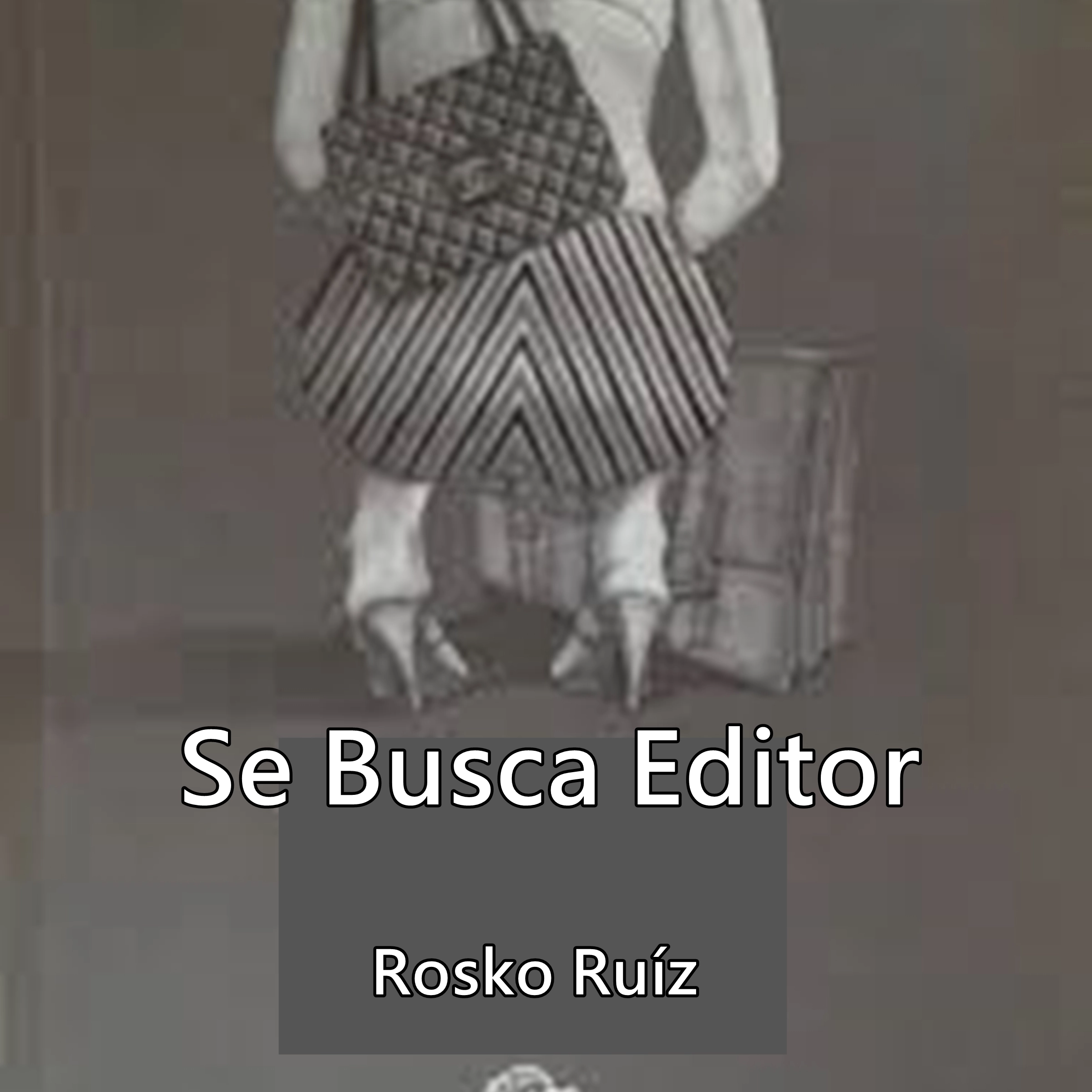 SE BUSCA EDITOR Audiobook by Rosko Ruíz