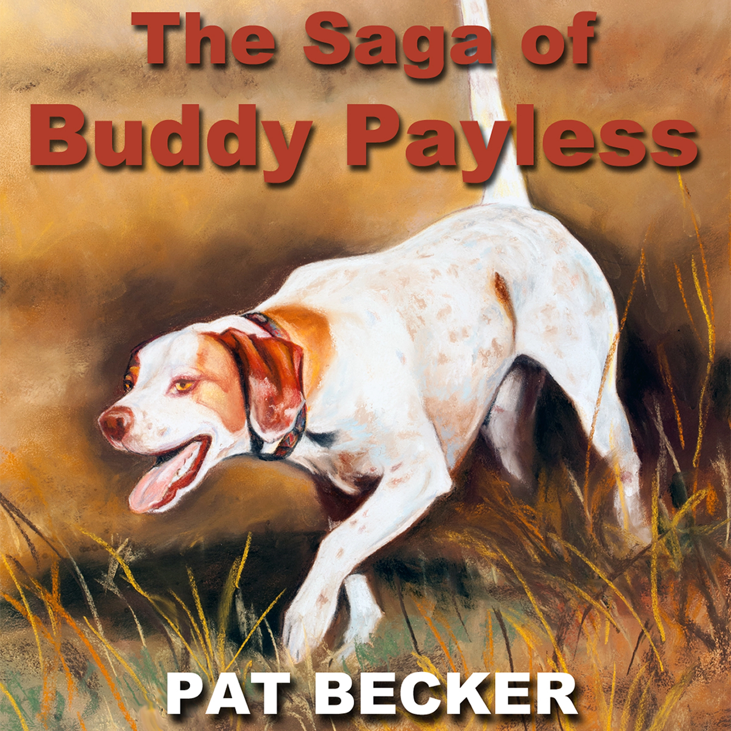 The Saga of Buddy Payless by Pat Becker Audiobook