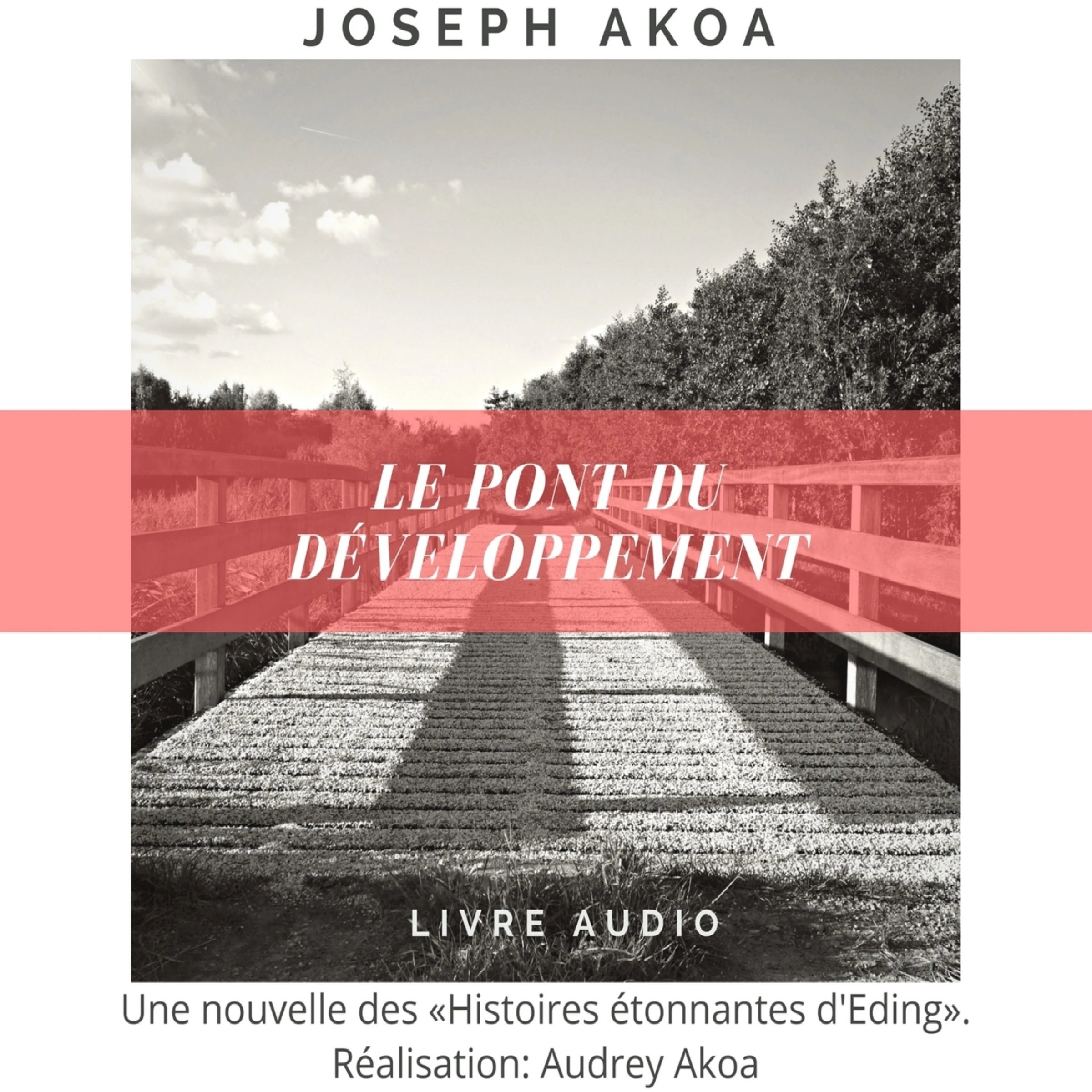 Le pont du développement by Joseph Akoa