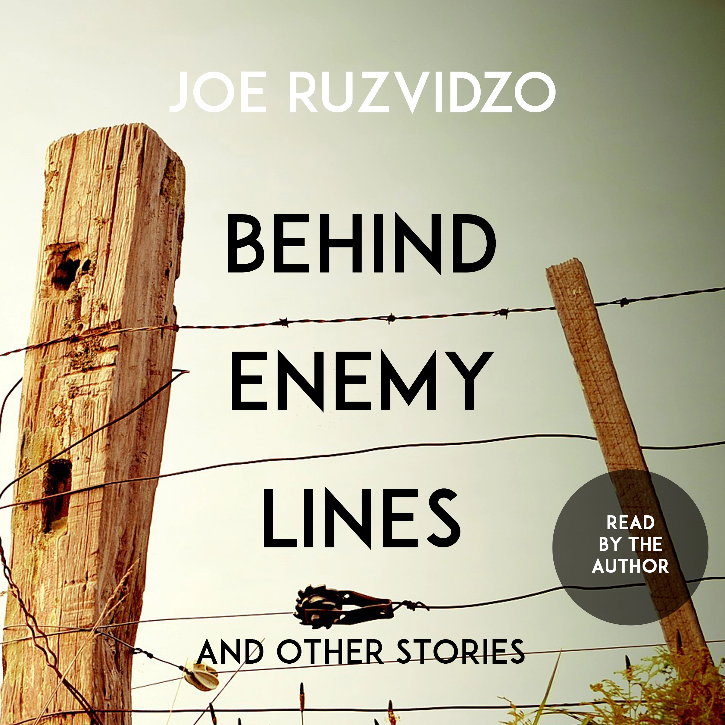 Behind Enemy Lines and Other Stories by Joe Ruzvidzo Audiobook