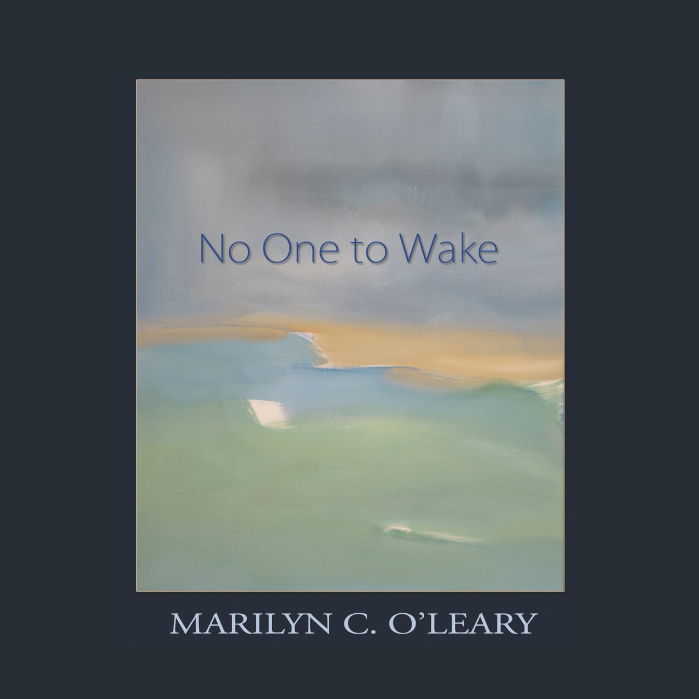 No One to Wake by Marilyn C. O'Leary Audiobook