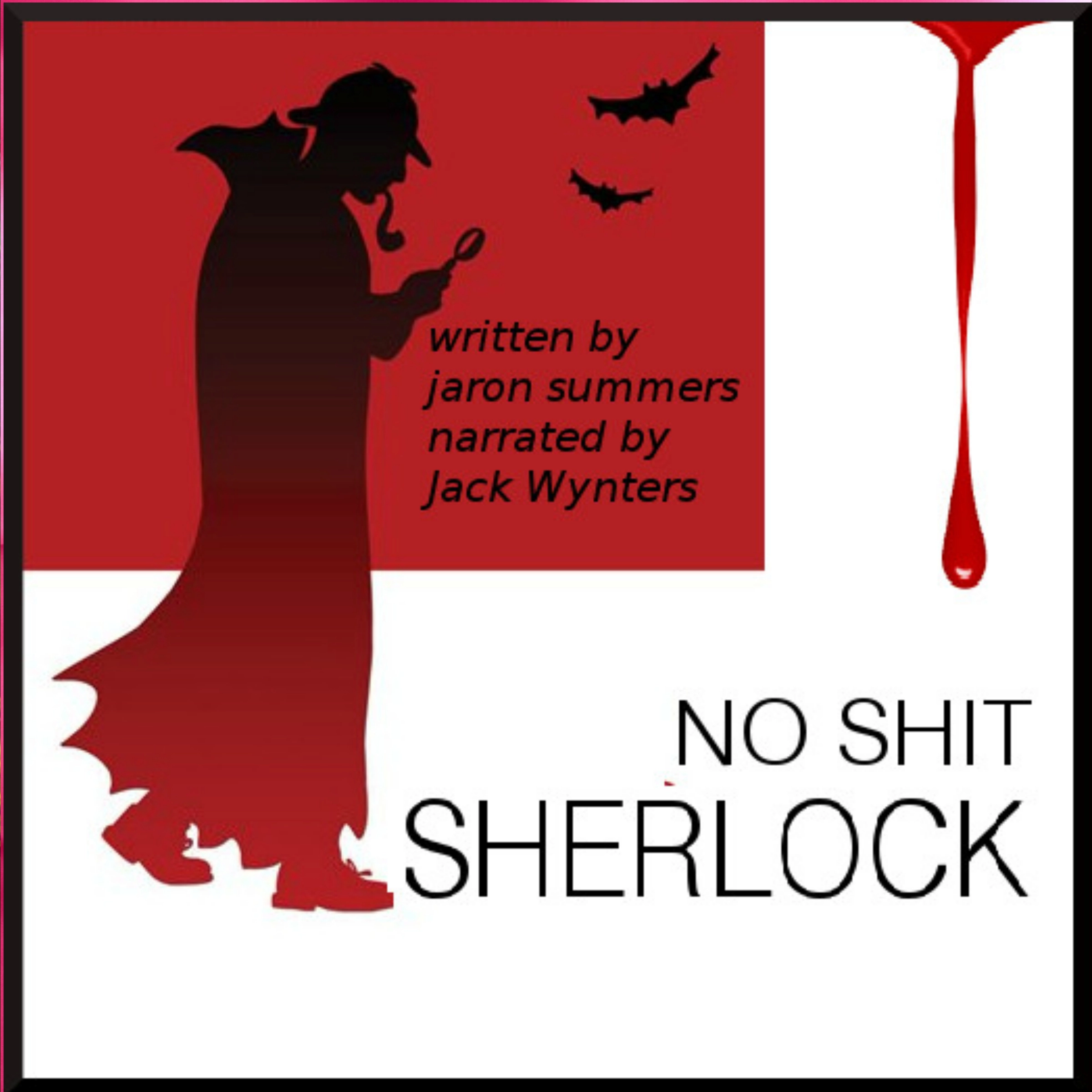 No Shit Sherlock by Jaron Summers Audiobook