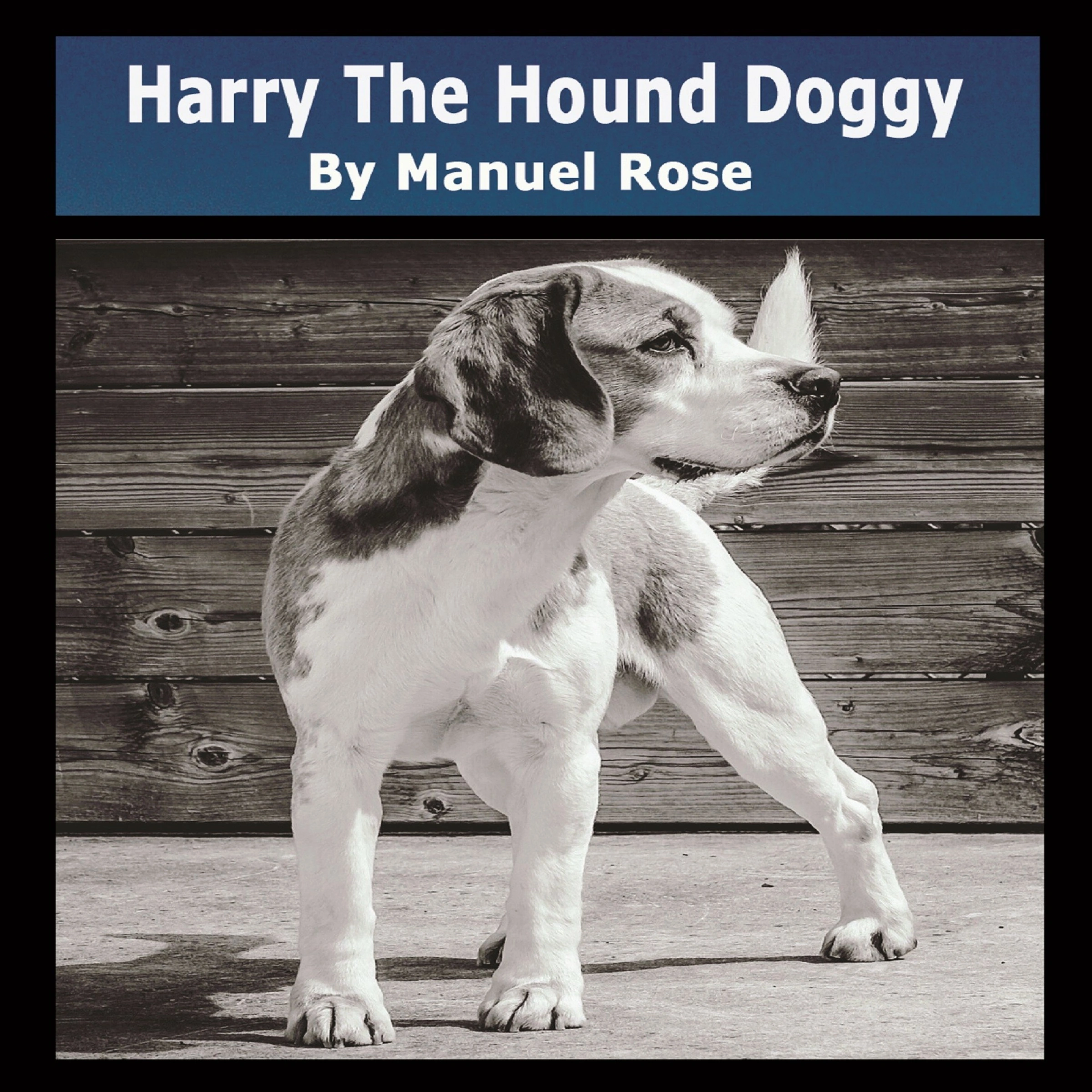 Harry The Hound Doggy Audiobook by Manuel Rose