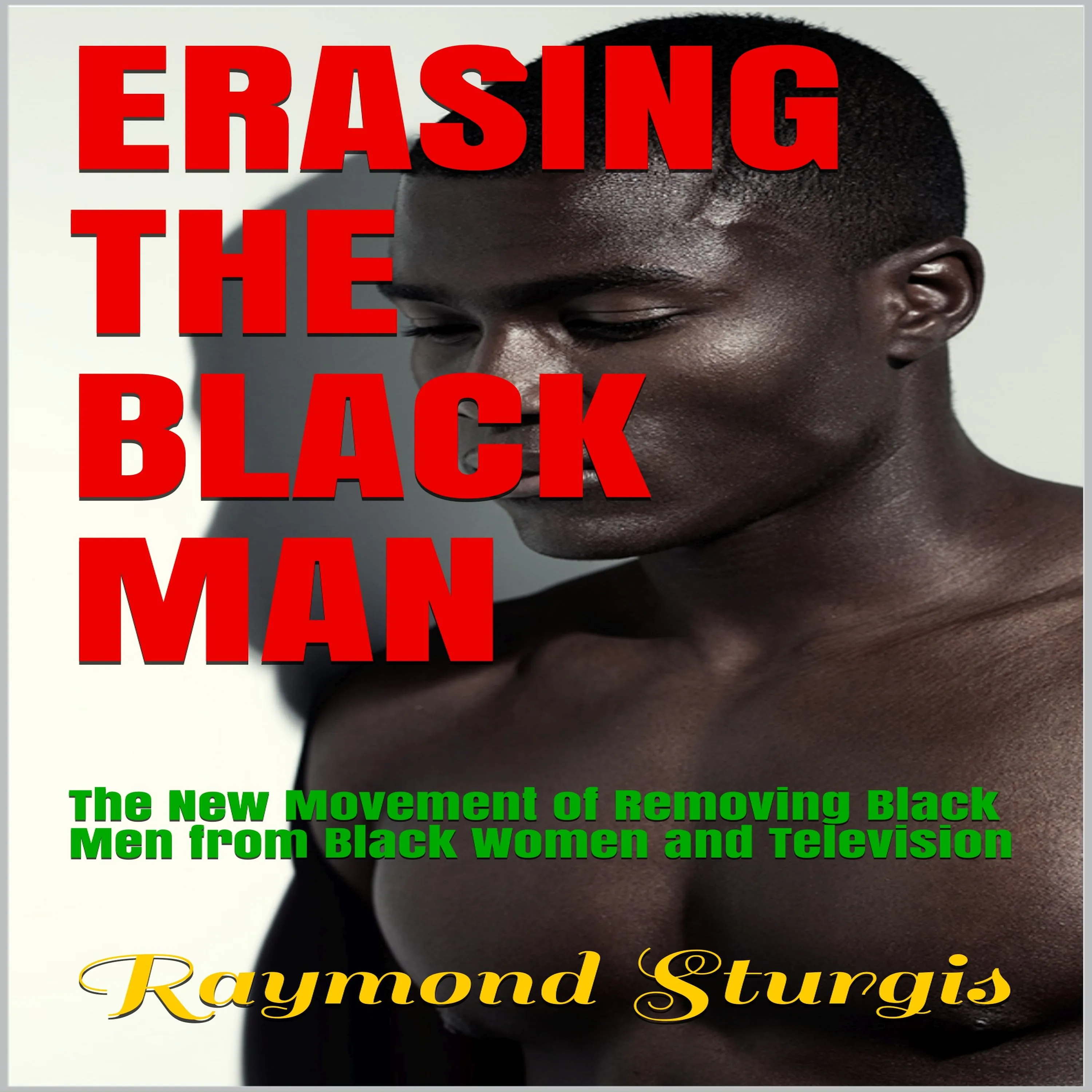 Erasing The Black Man: The New Movement of Removing Black Men from Black Women and Television by Raymond Sturgis Audiobook