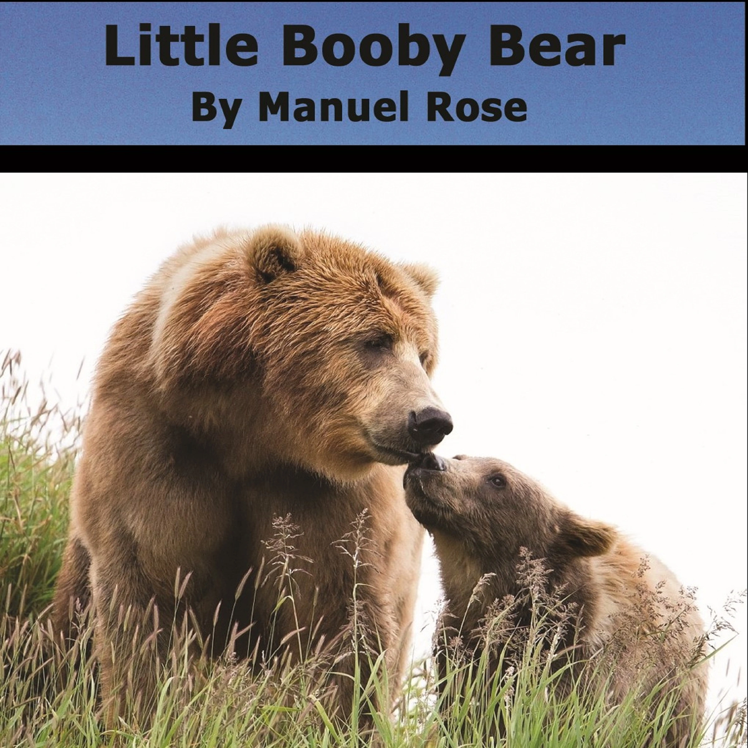 Little Booby Bear by Manuel Rose Audiobook