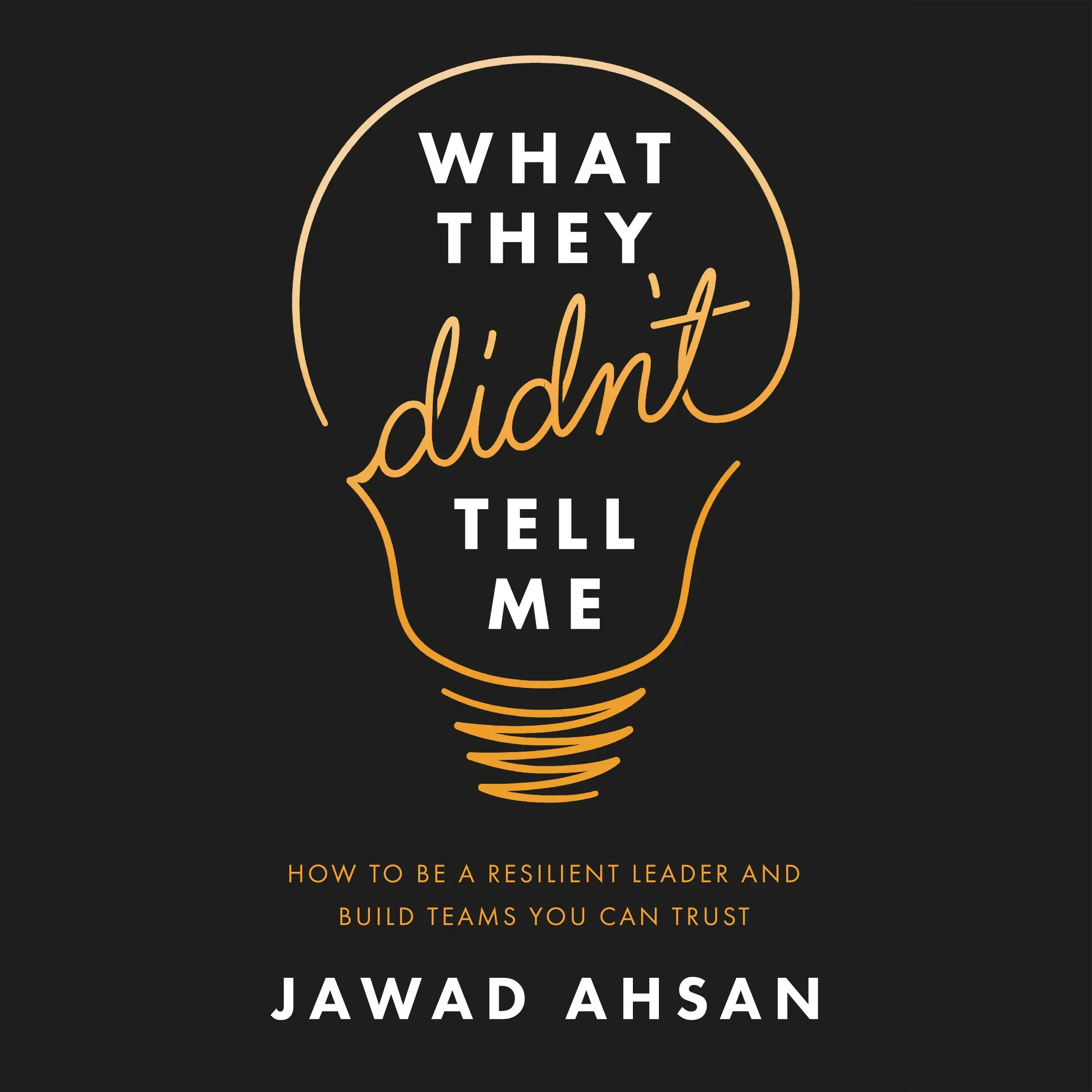 What They Didn’t Tell Me by Jawad Ahsan Audiobook