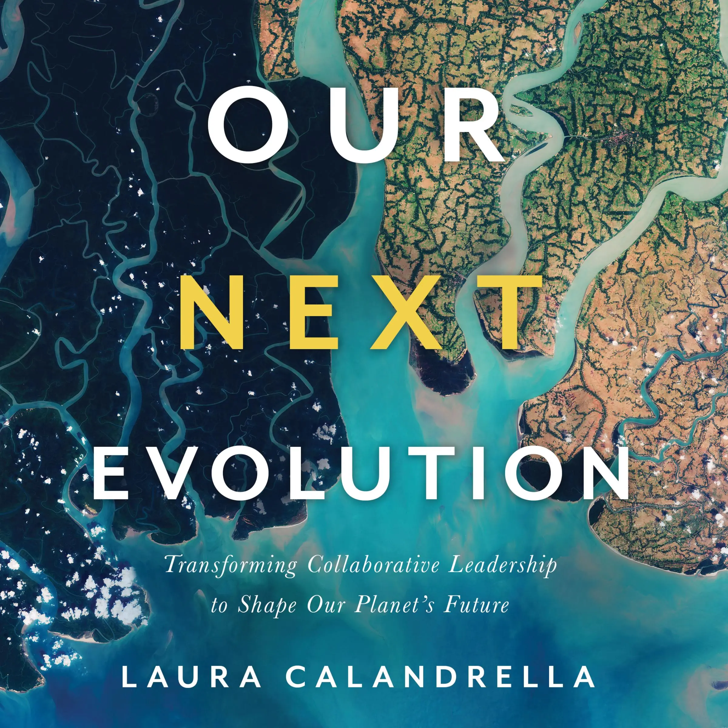 Our Next Evolution Audiobook by Laura Calandrella