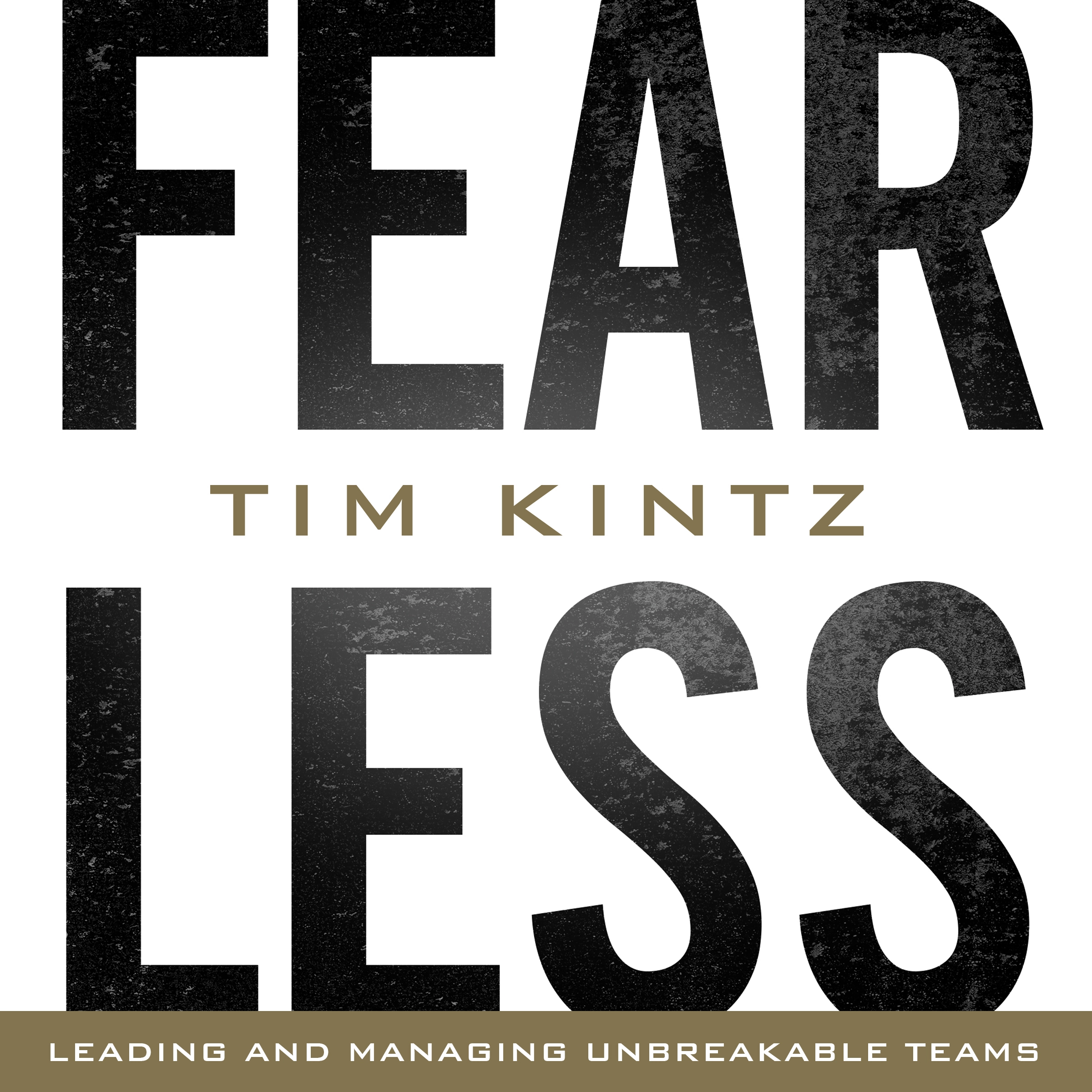 Fearless by Tim Kintz Audiobook
