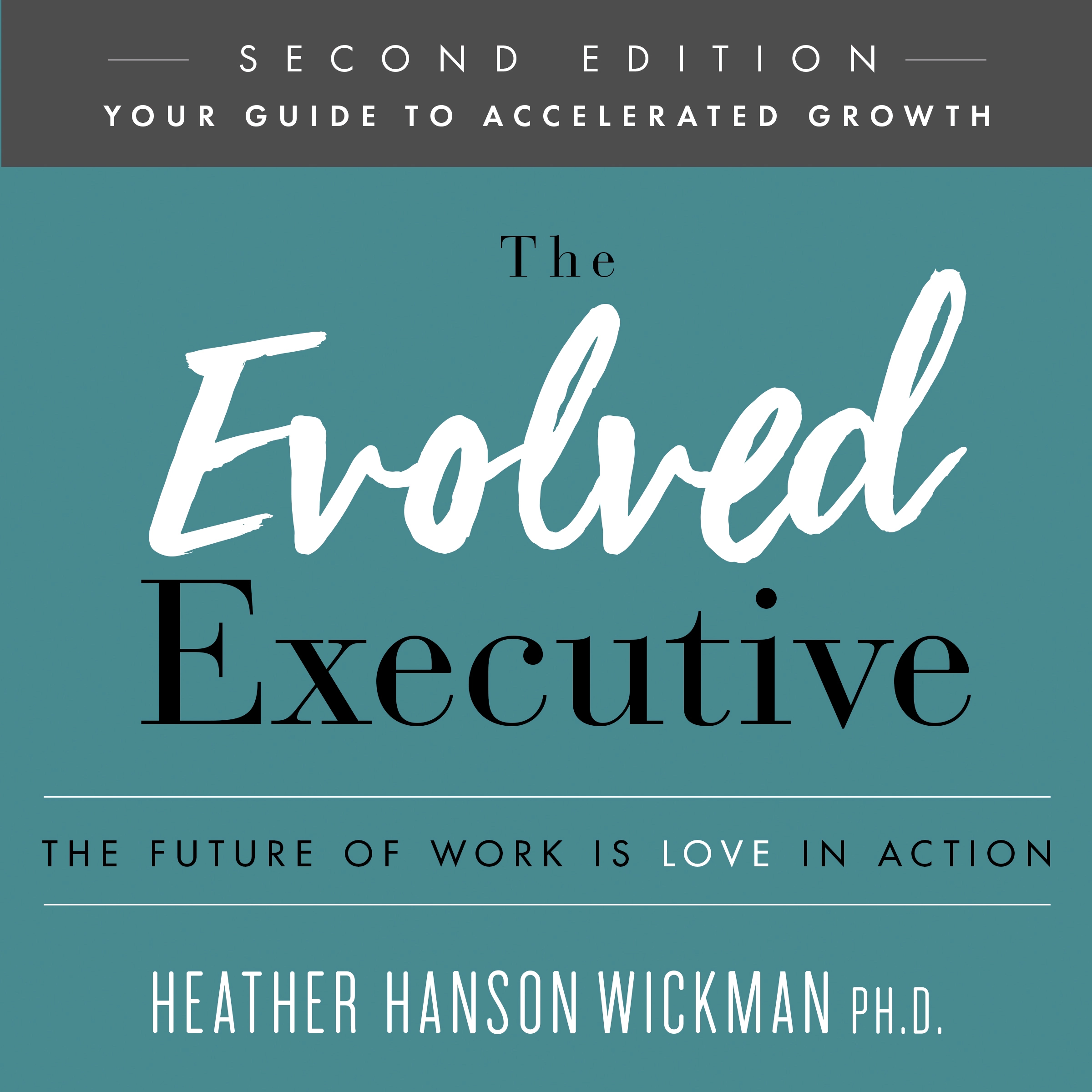 The Evolved Executive by Heather Hanson Wickman PhD Audiobook