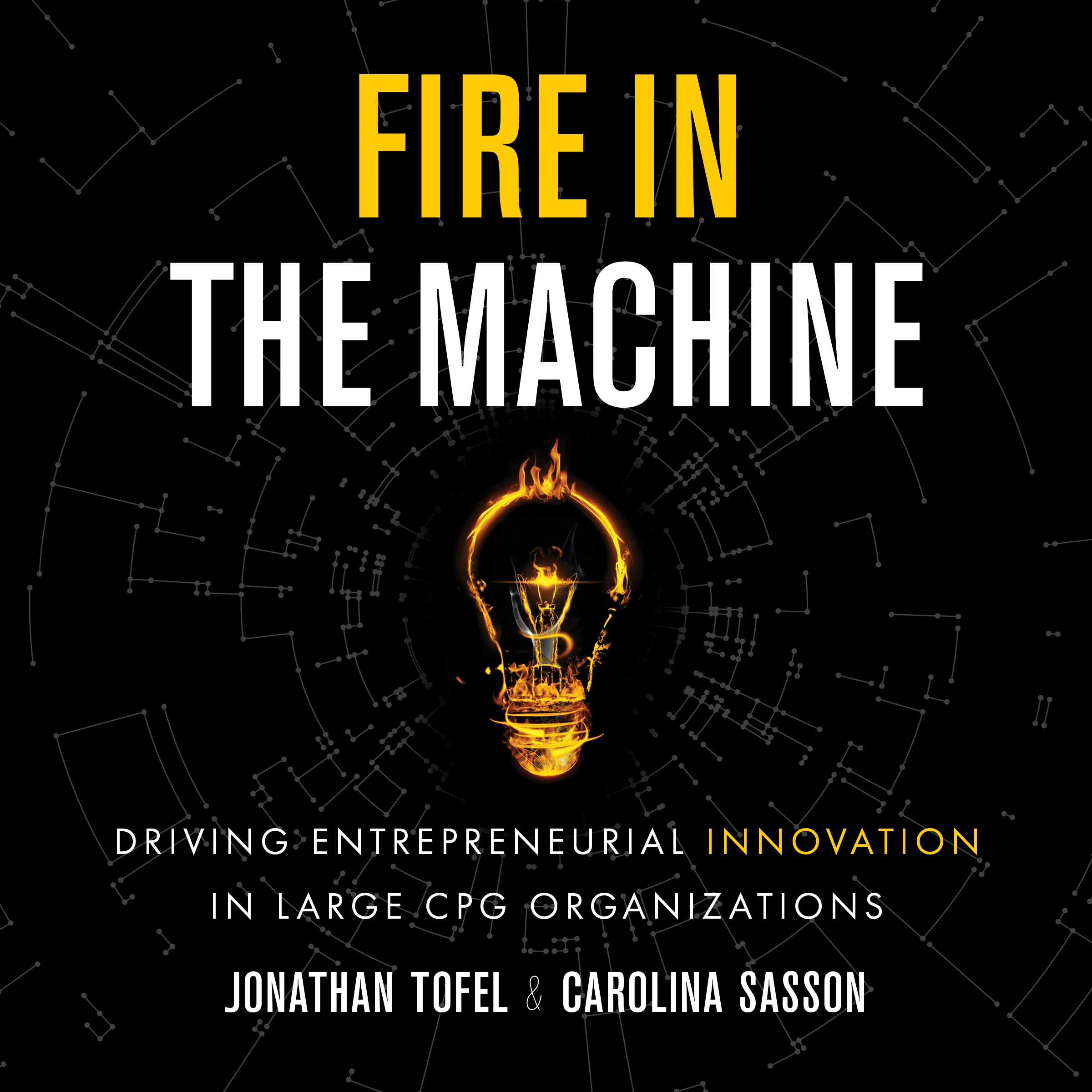 Fire in the Machine by Carolina Sasson Audiobook