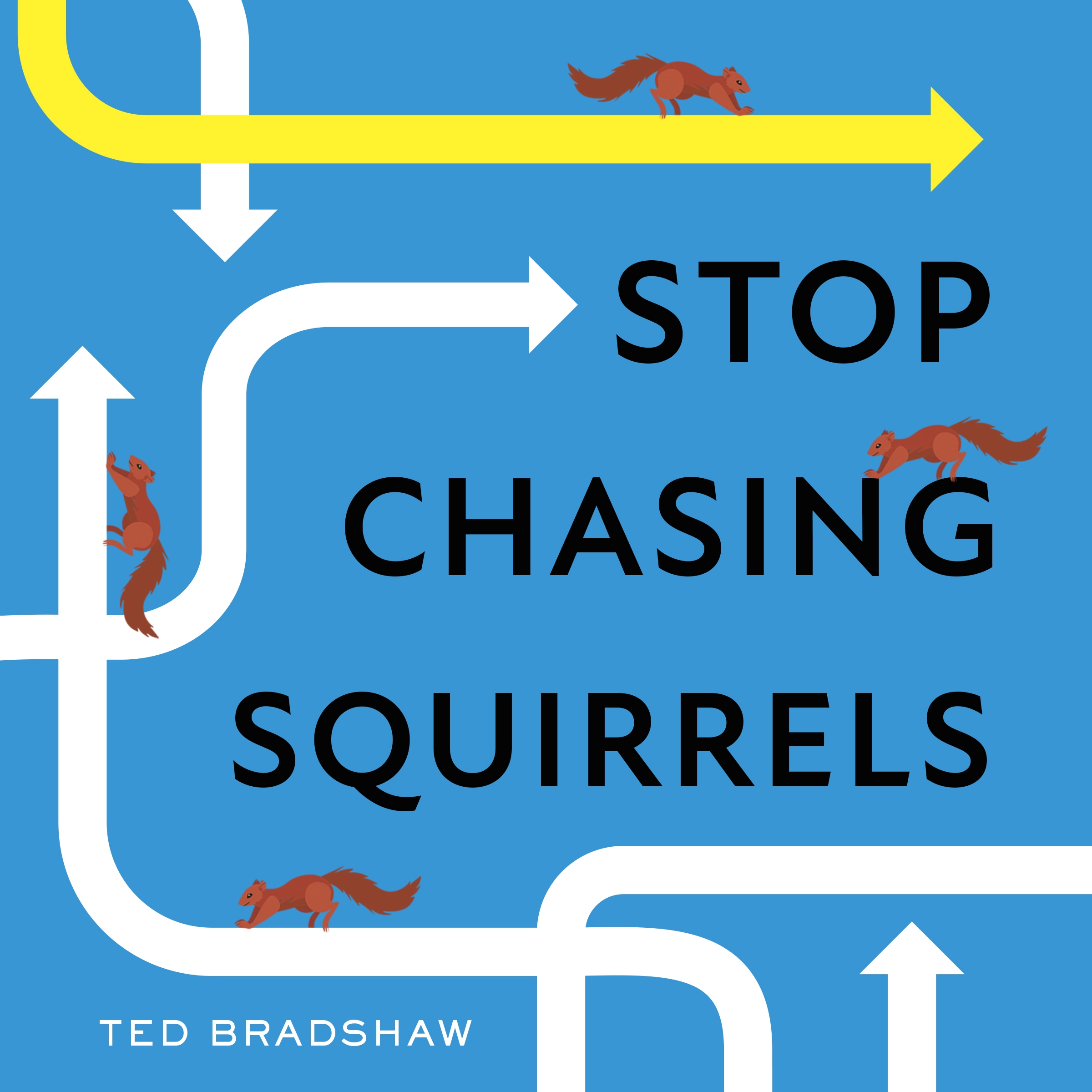 Stop Chasing Squirrels Audiobook by Ted Bradshaw