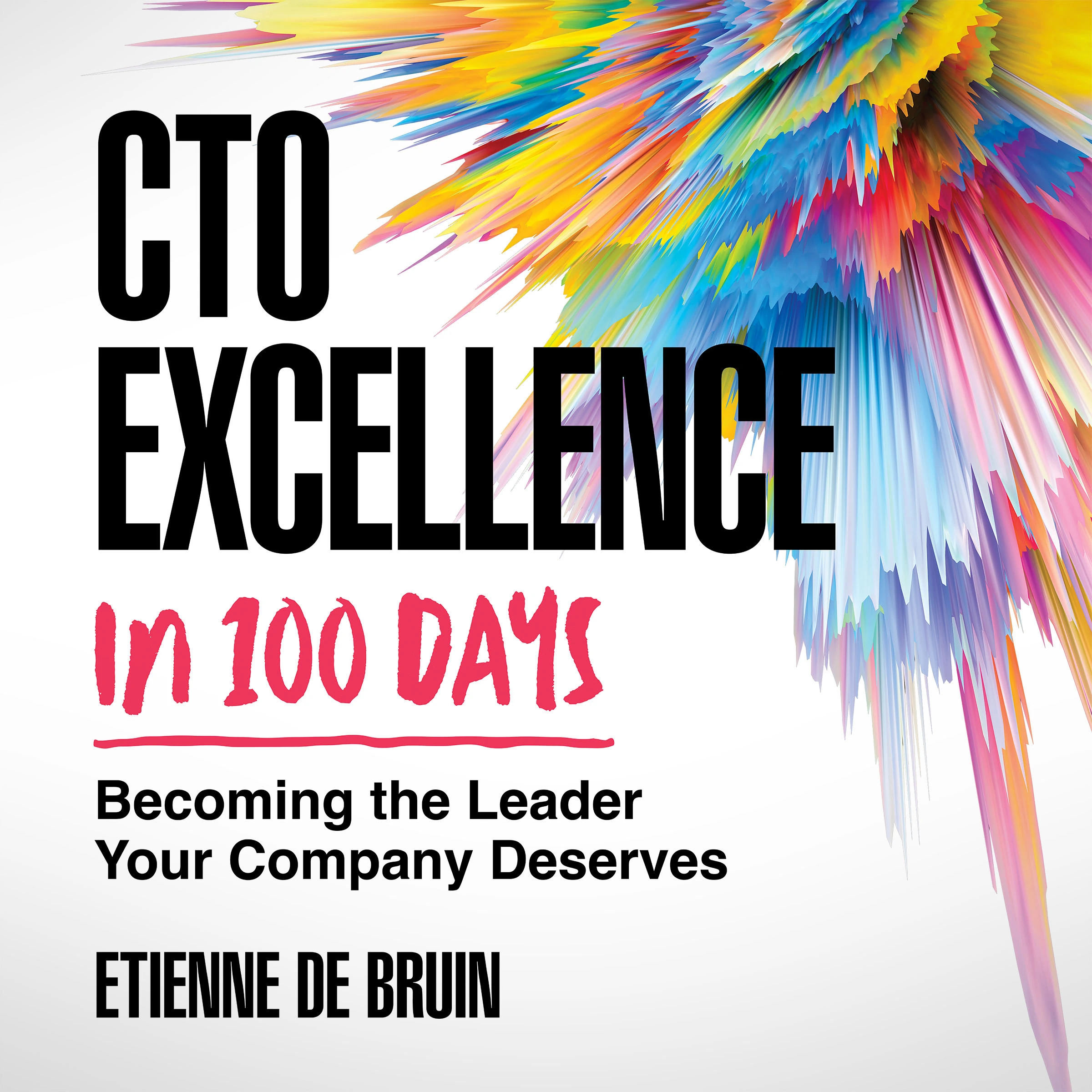 CTO Excellence in 100 Days Audiobook by Etienne de Bruin