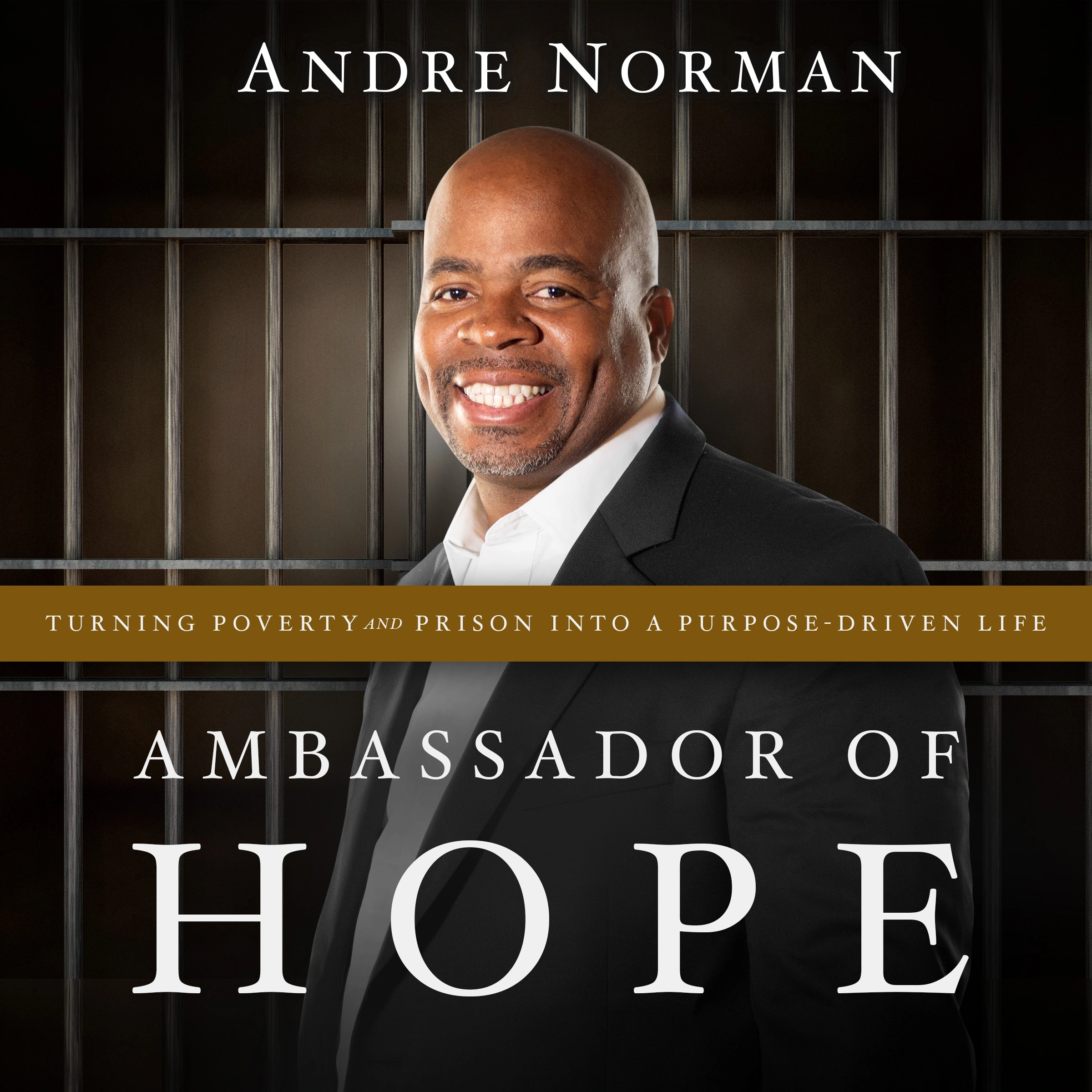 Ambassador of Hope by Andre Norman Audiobook