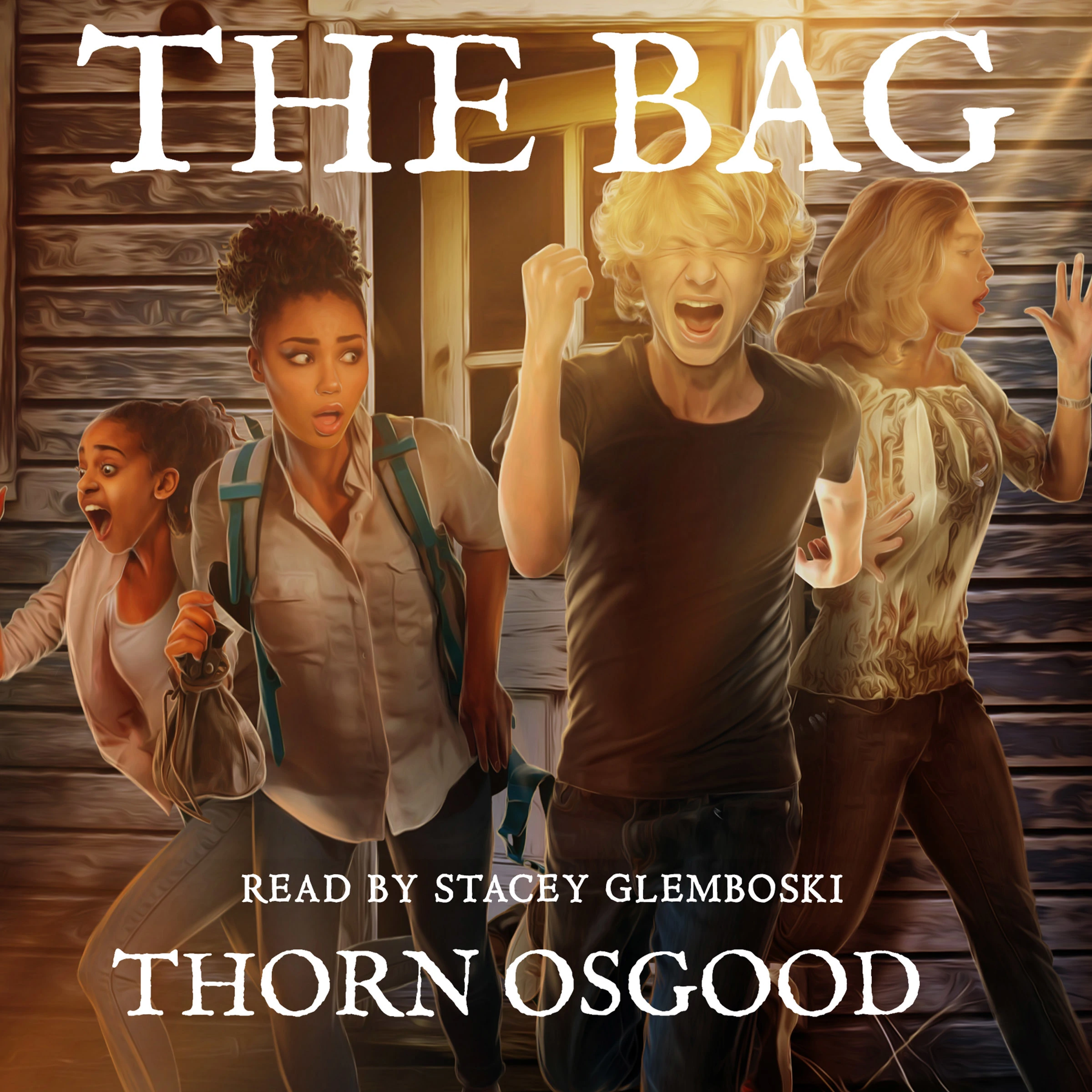 The Bag by Thorn Osgood