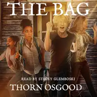 The Bag Audiobook by Thorn Osgood