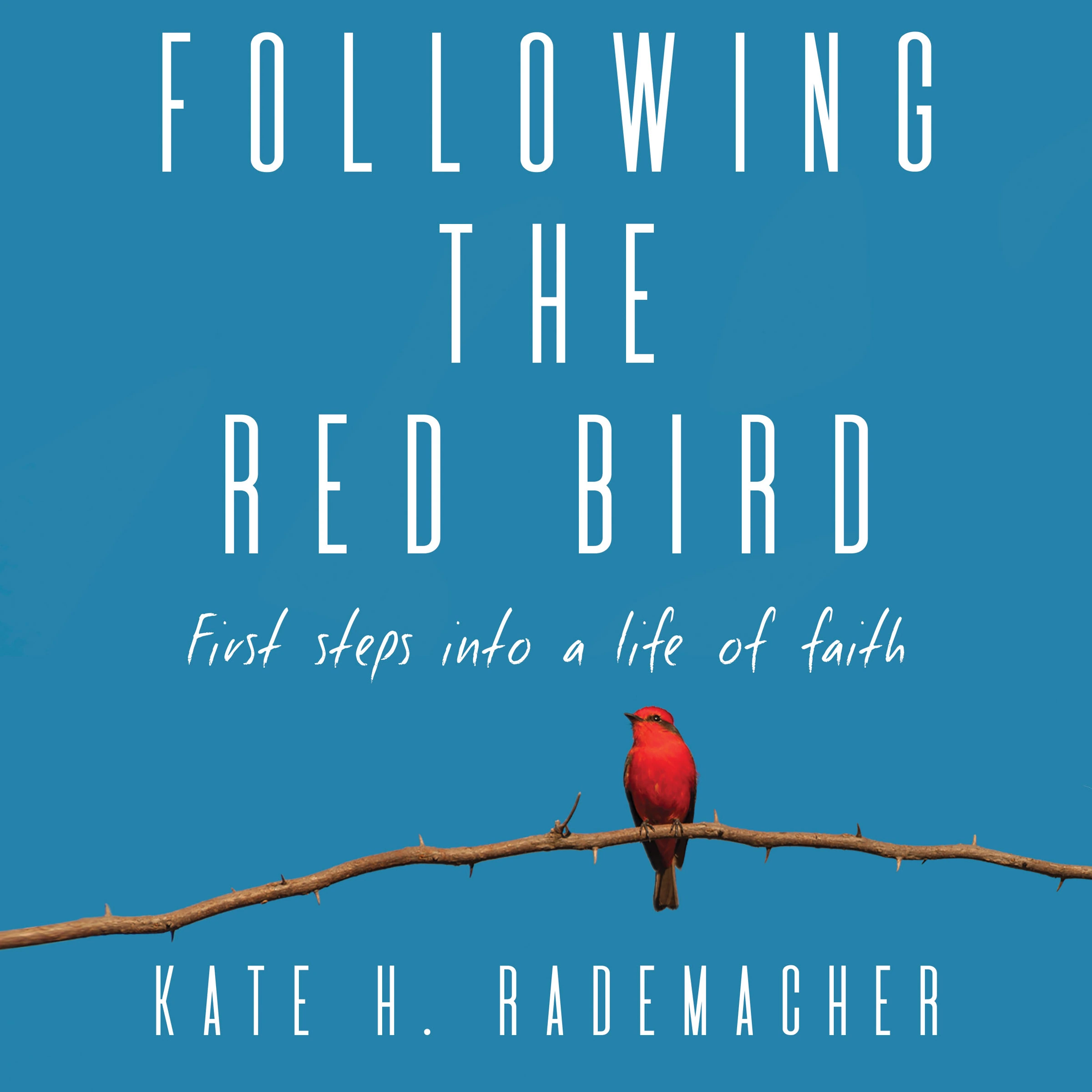 Following the Red Bird by Kate H Rademacher Audiobook