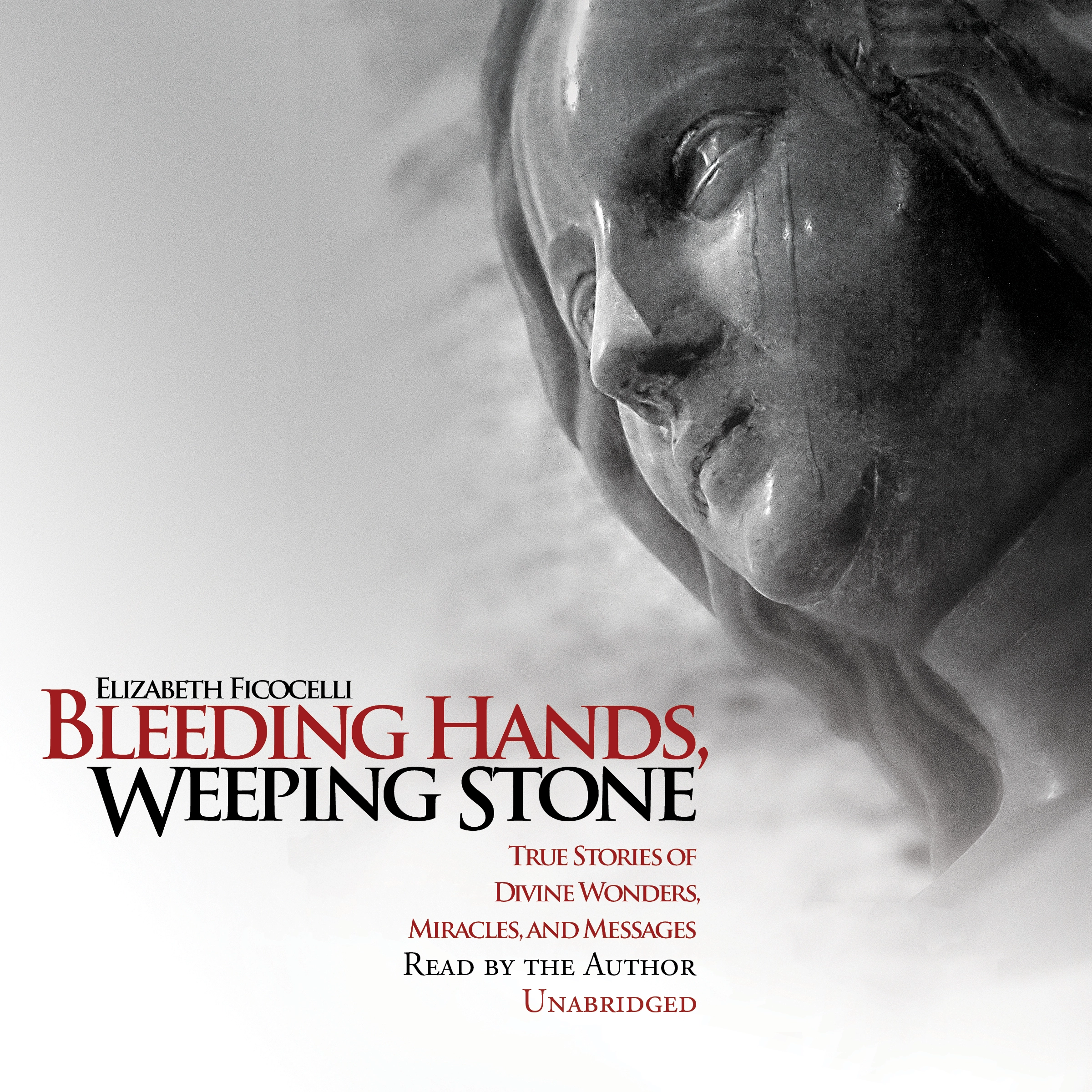 Bleeding Hands, Weeping Stone: True Stories of Divine Wonders, Miracles, and Messages Audiobook by Elizabeth Ficocelli