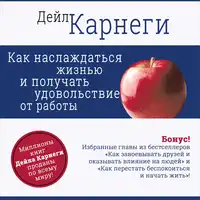 How to Enjoy Your Life and Your Job [Russian Edition] Audiobook by Dale Carnagey