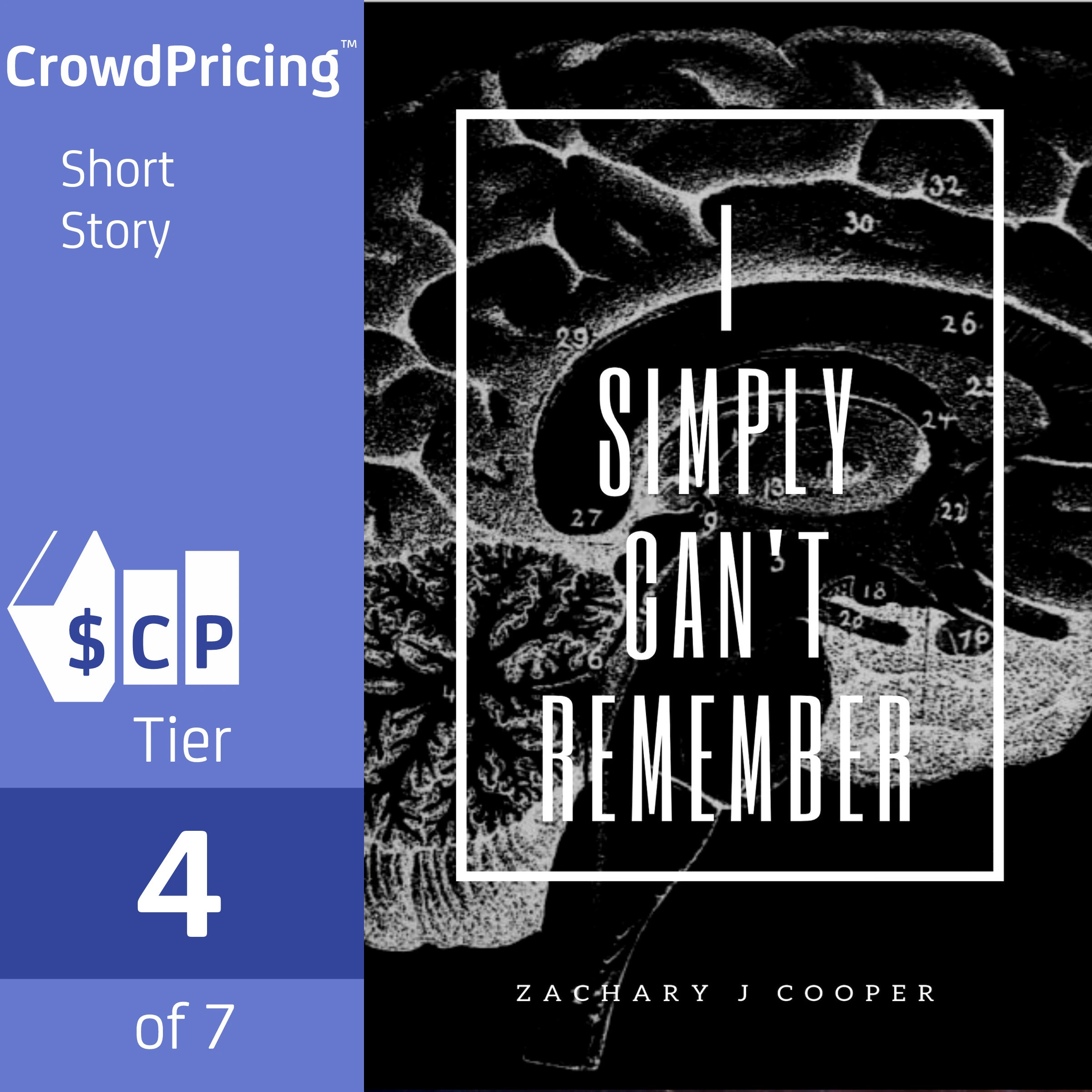 I Simply Can't Remember Audiobook by Zachary J Cooper