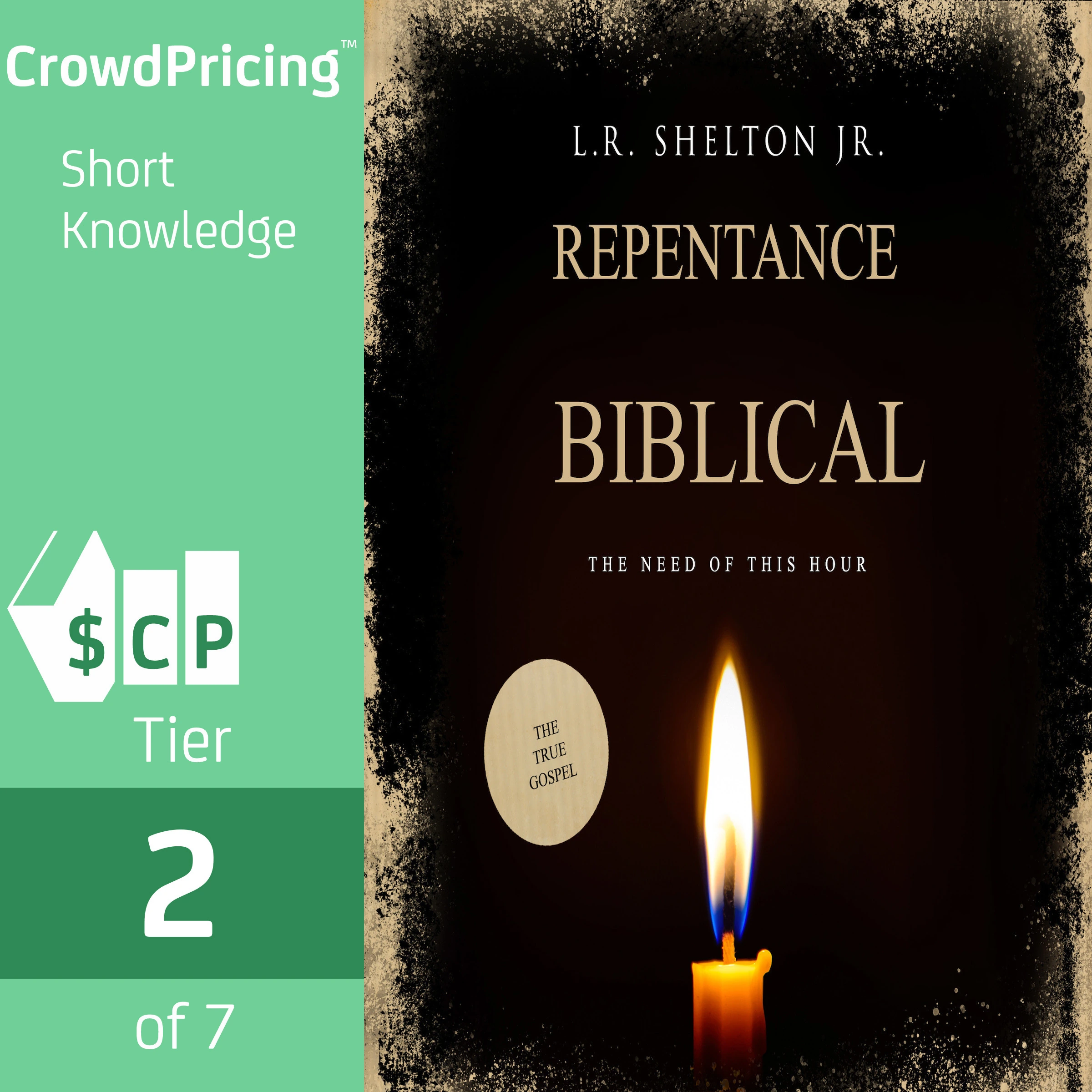 Biblical Repentance by L.R. Shelton Jr. Audiobook