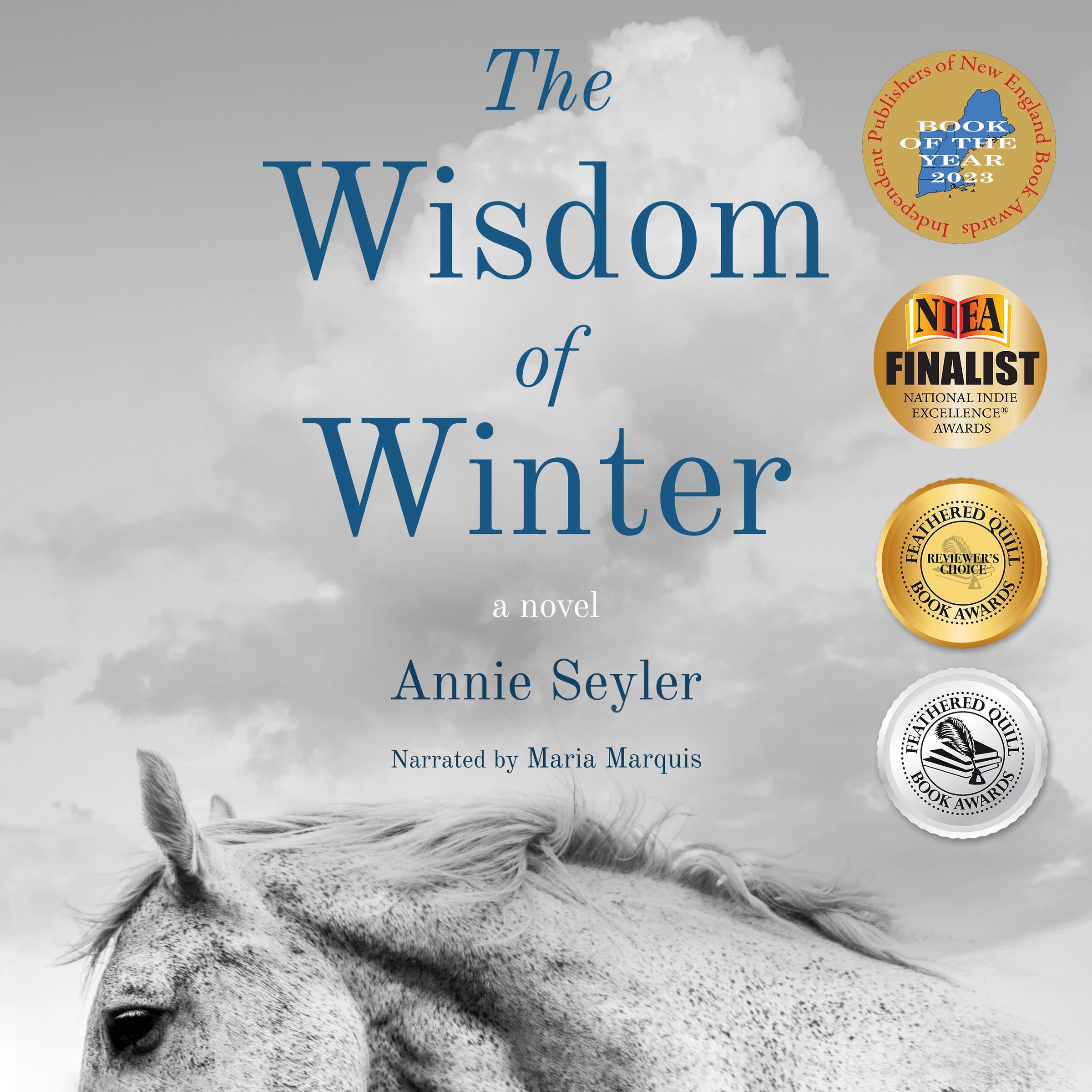 The Wisdom of Winter by Annie Seyler Audiobook