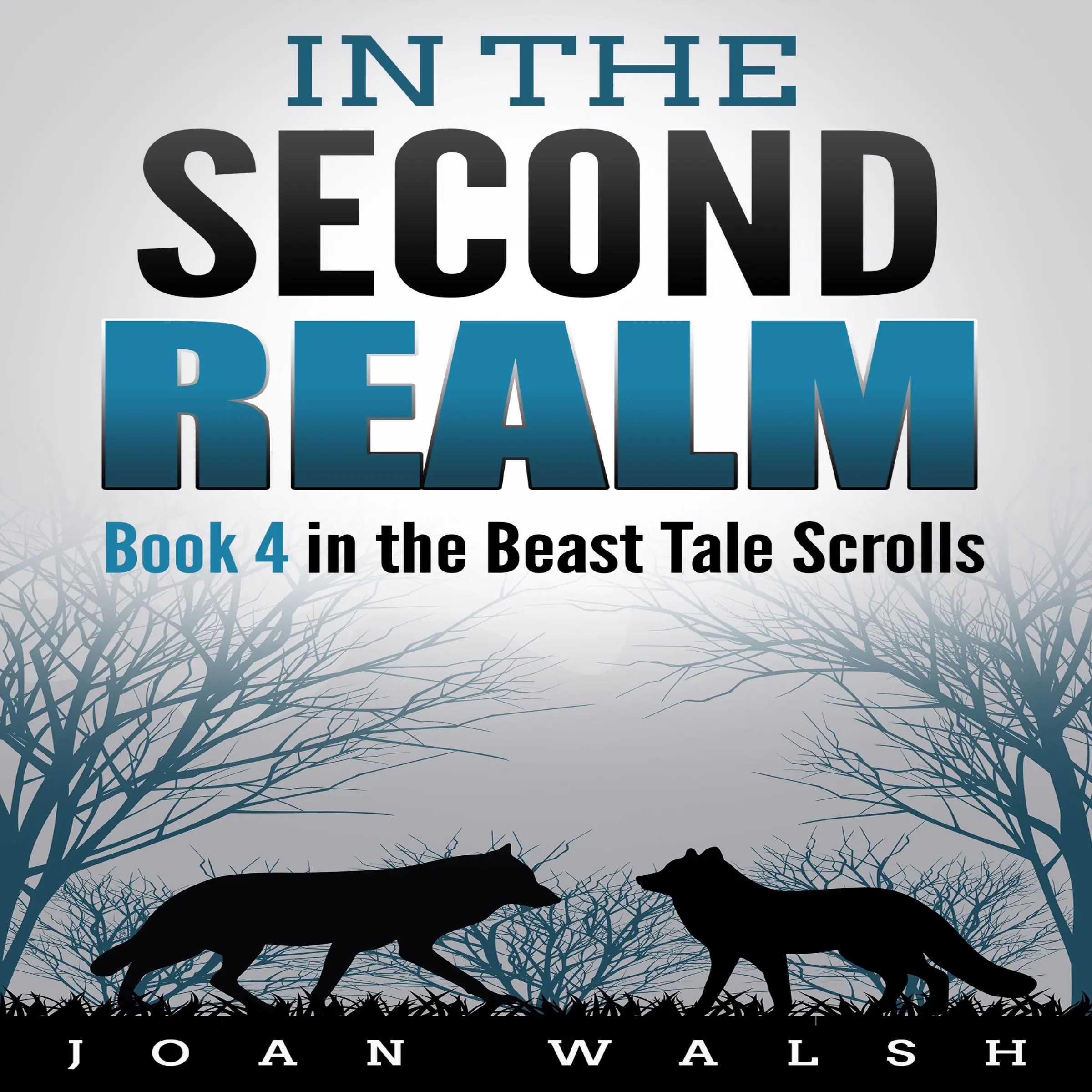 In the Second Realm by Joan Walsh Audiobook