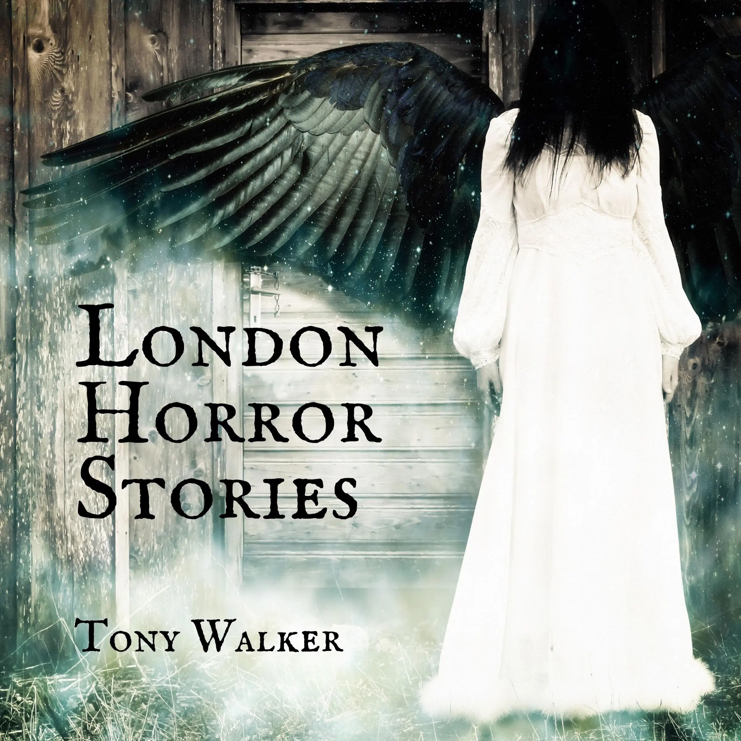 London Horror Stories Audiobook by Tony Walker