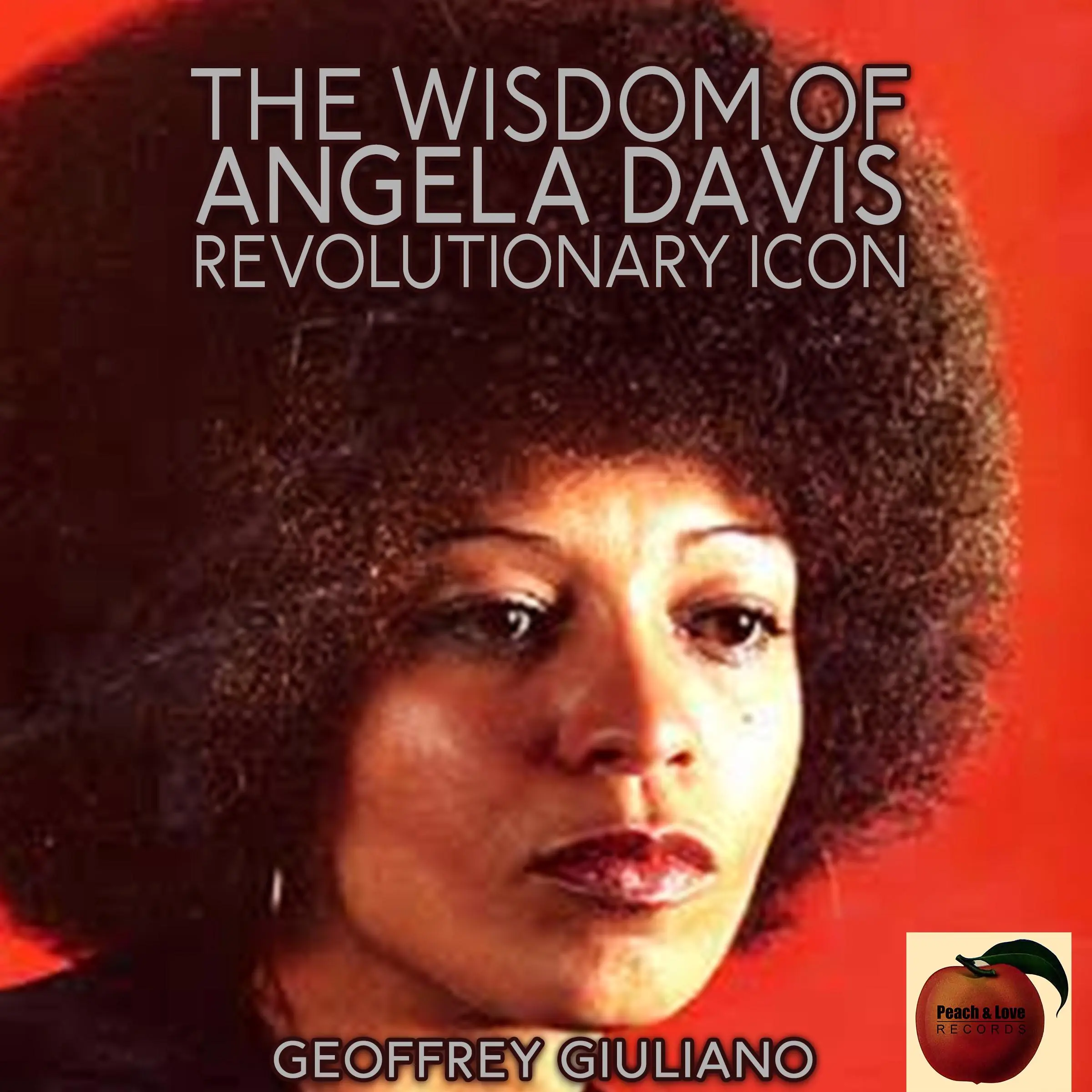 The Wisdom of Angela Davis; Revolutionary Icon Audiobook by Geoffrey Giuliano
