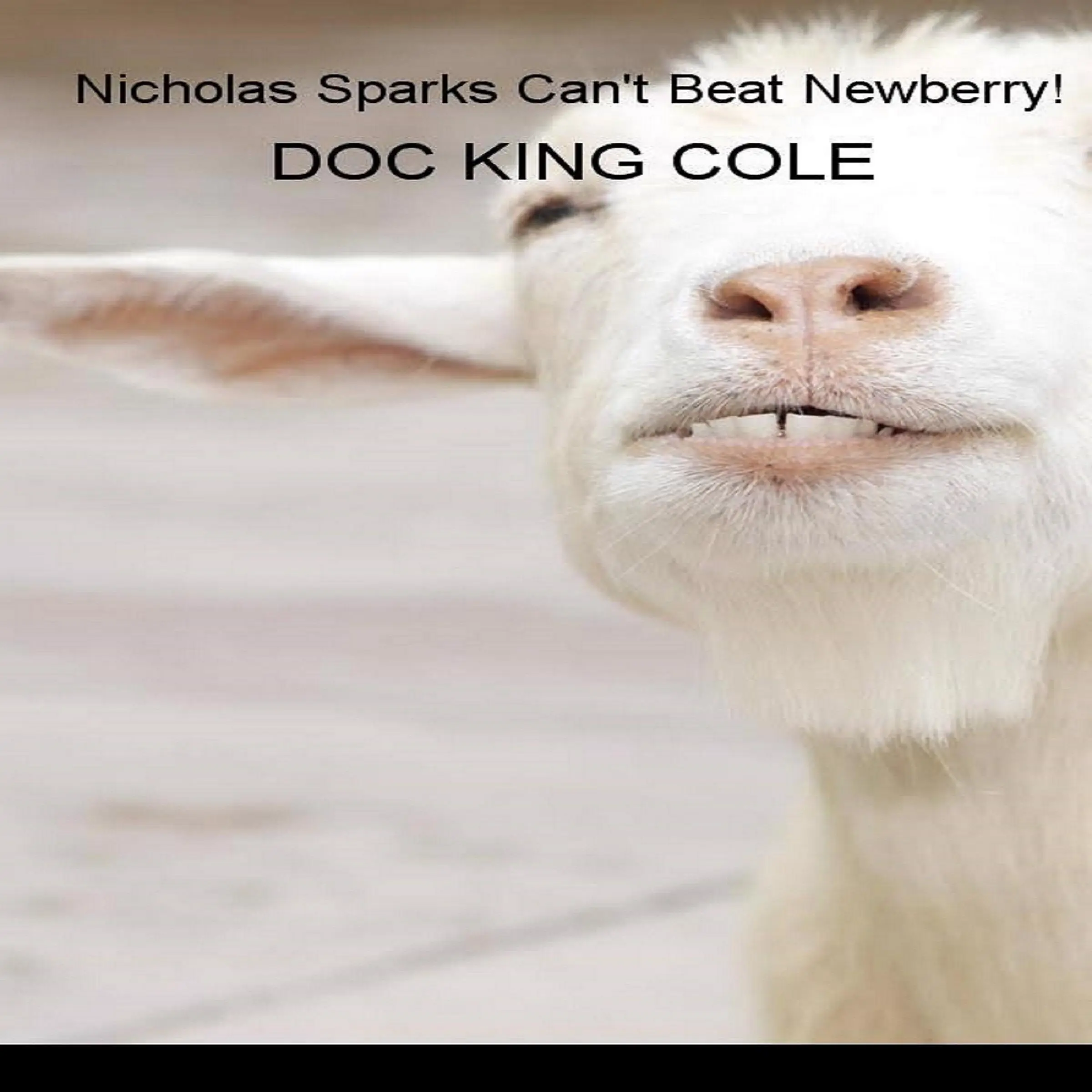 Nicholas Sparks Can't Beat Newberry by Doc King Cole Audiobook