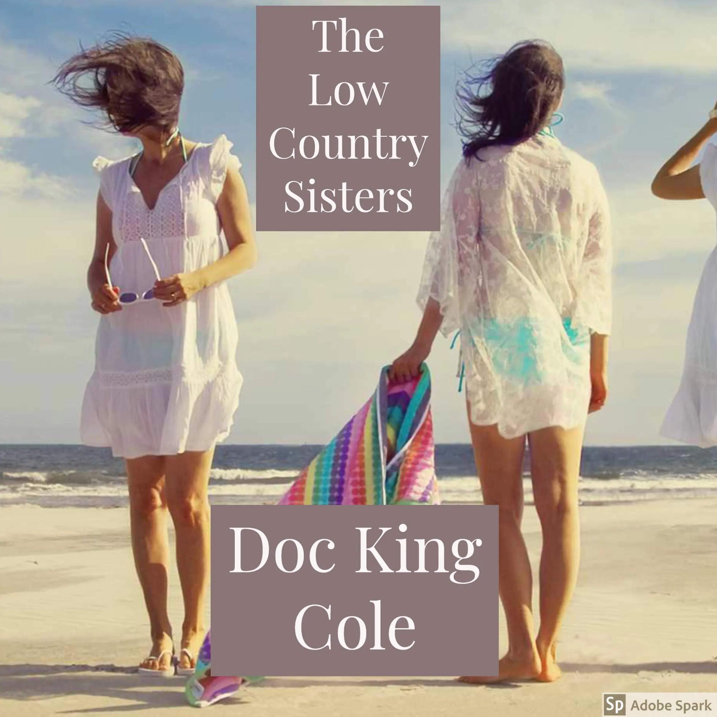 The Low Country Sisters by Doc King Cole Audiobook