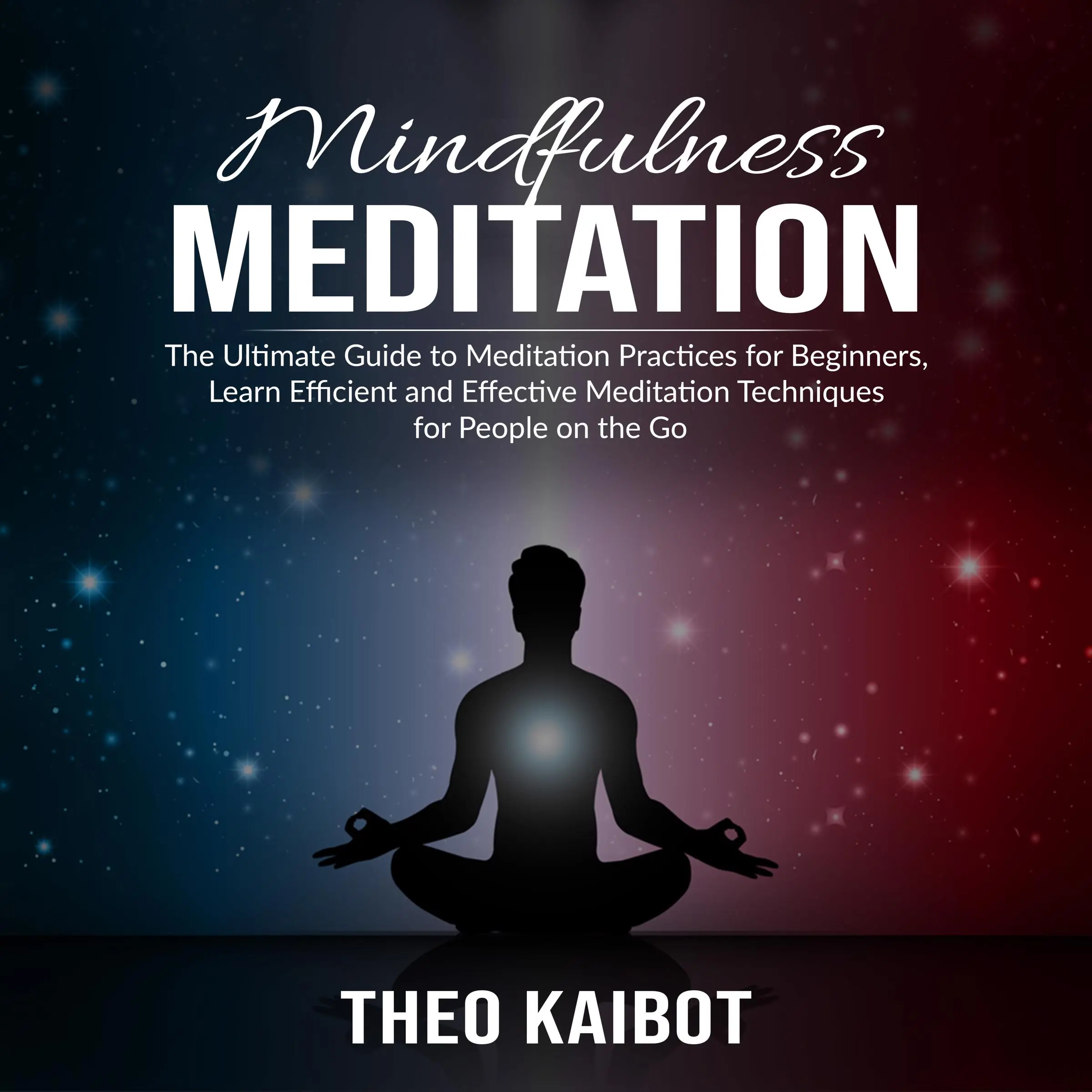 Mindfulness Meditation: The Ultimate Guide to Meditation Practices for Beginners, Learn Efficient and Effective Meditation Techniques for People on the Go by Theo Kaibot Audiobook