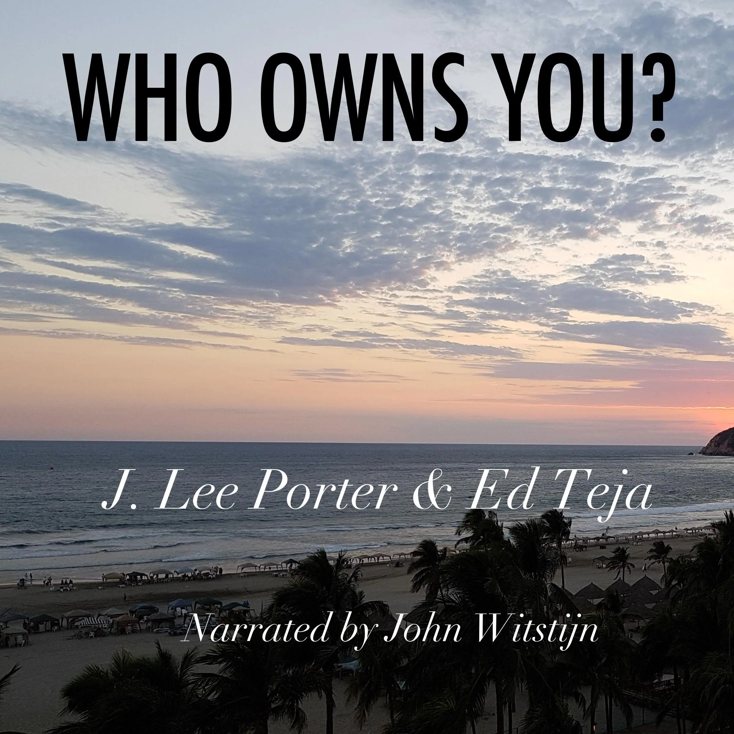 Who Owns You? Audiobook by J. Lee Porter