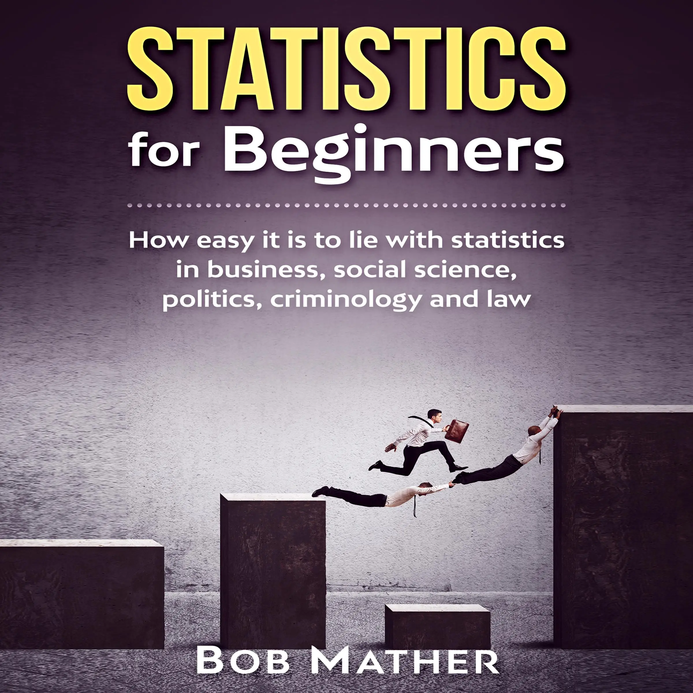 Statistics for Beginners: How easy it is to lie with statistics in business, social science, politics, criminology and law by Bob Mather Audiobook