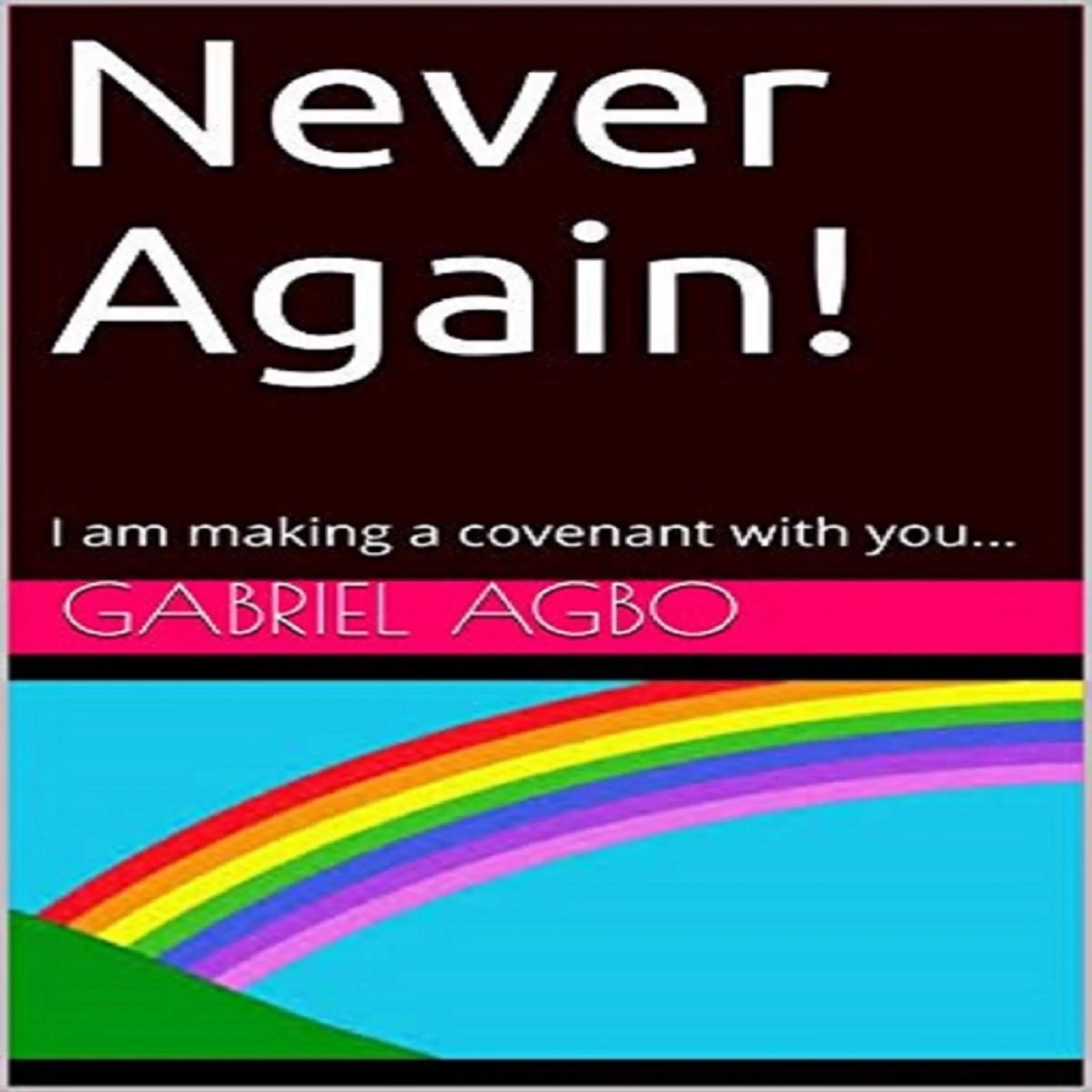 Never Again! by Gabriel Agbo Audiobook