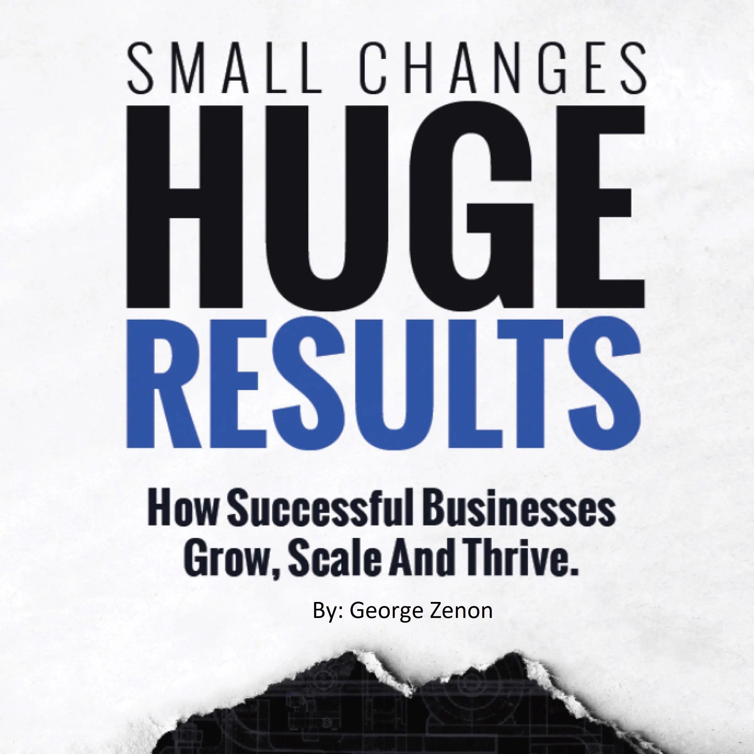 Small Changes, Huge Results Audiobook by George Zenon