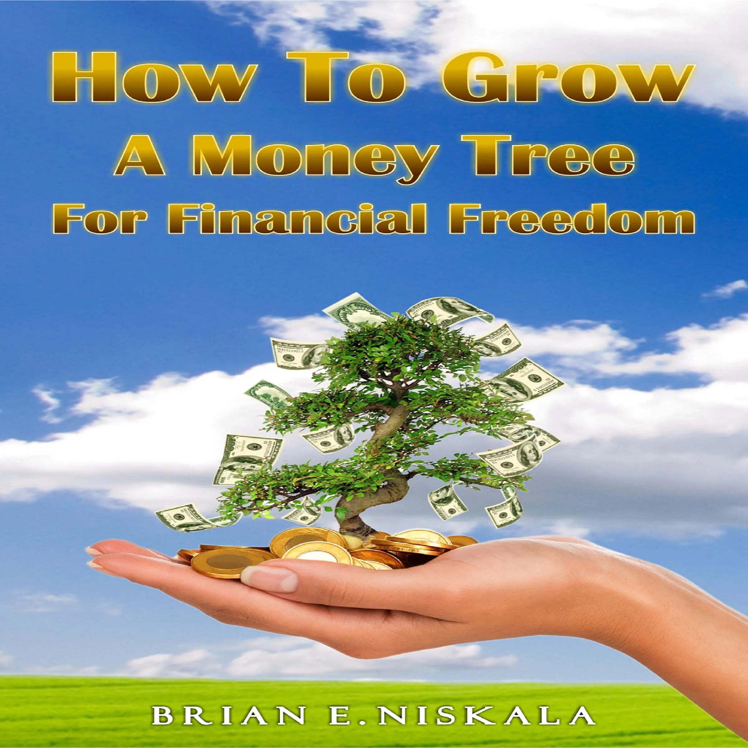 How To Grow a Money Tree for Financial Freedom by Brian E. Niskala