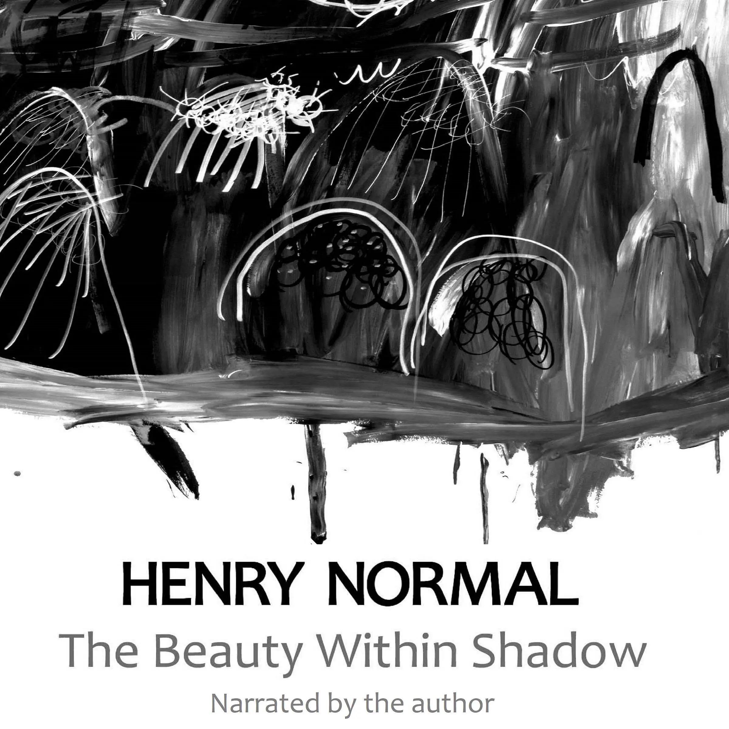 The Beauty Within Shadow by Henry Normal Audiobook