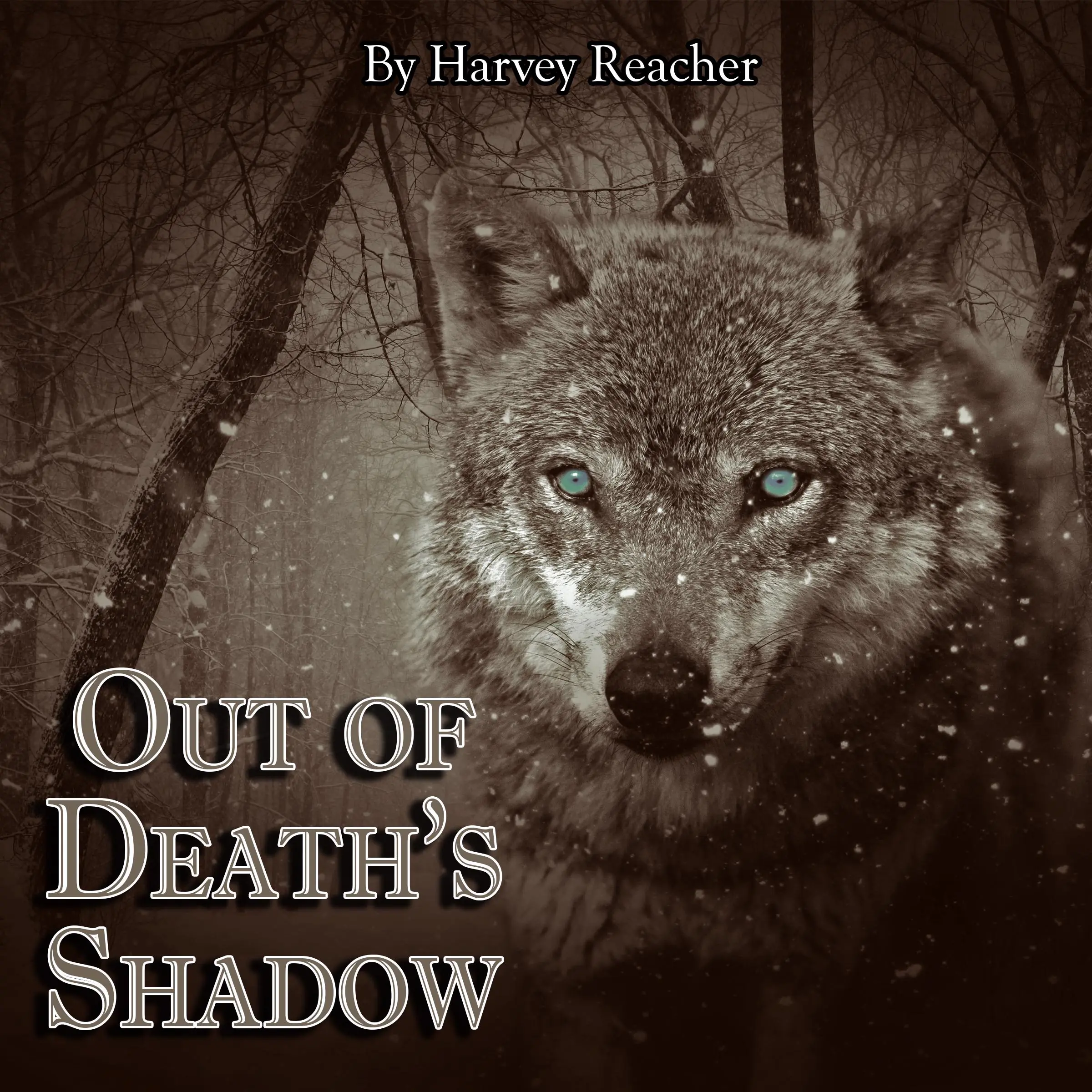 Out of Death's Shadow by Harvey Reacher